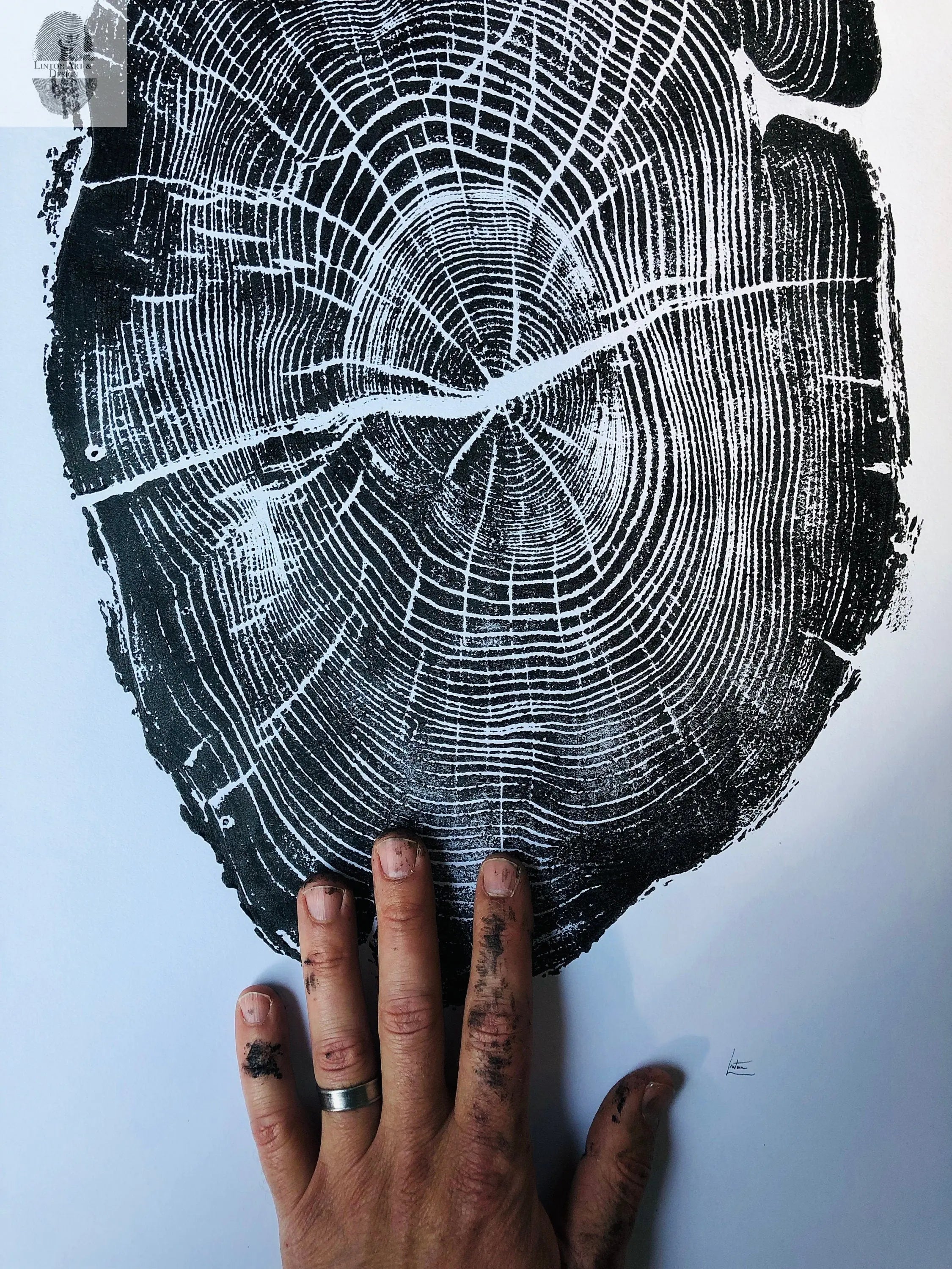 Nauvoo Illinois Osage Orange - 18x24 print