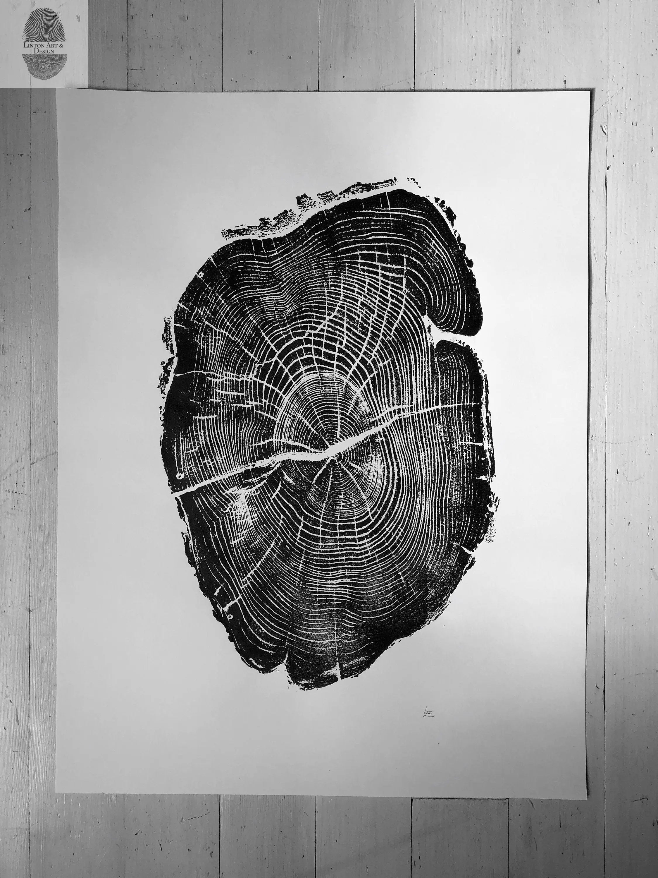 Nauvoo Illinois Osage Orange - 18x24 print