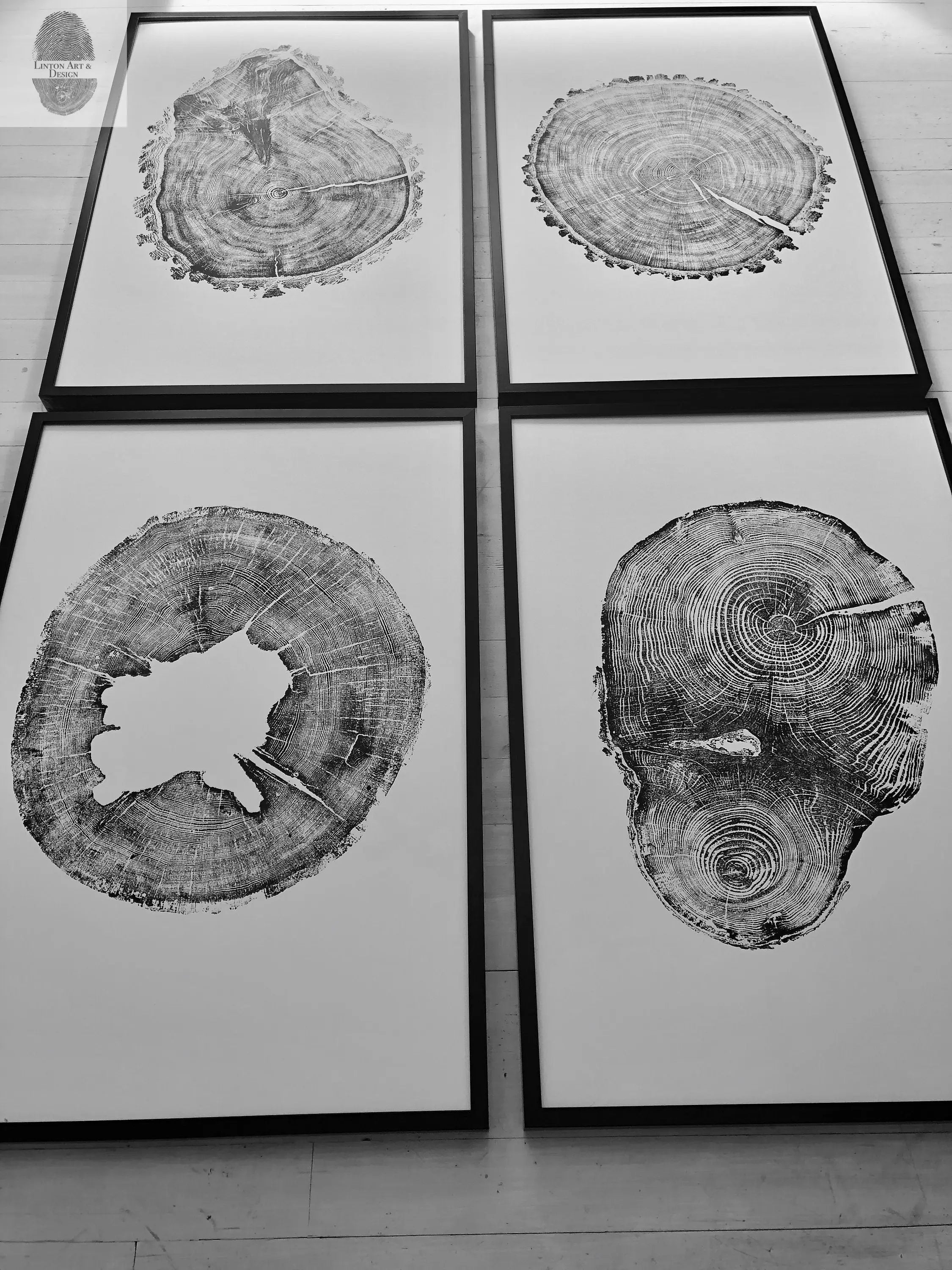 Oak, Pine, & Hemlock Set of 4 - 24x36 each print