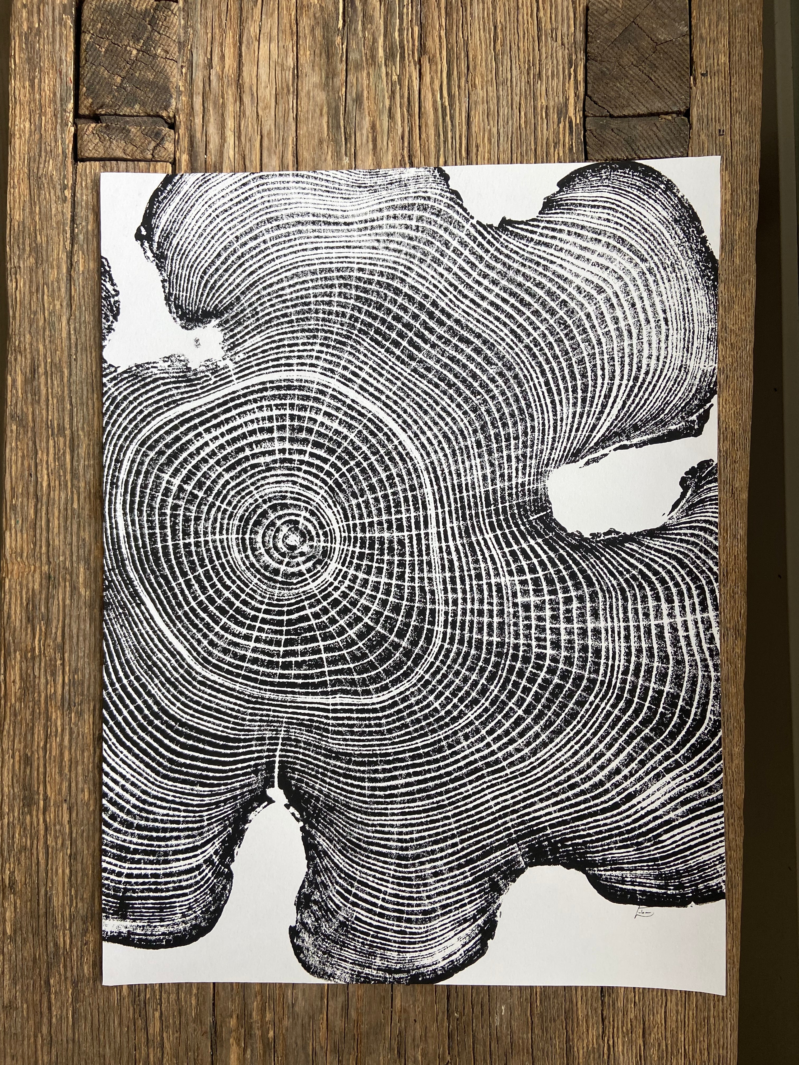 Ohio Locust, Cropped, Limited Edition tree print 12x16 inches. Hand pressed and signed.