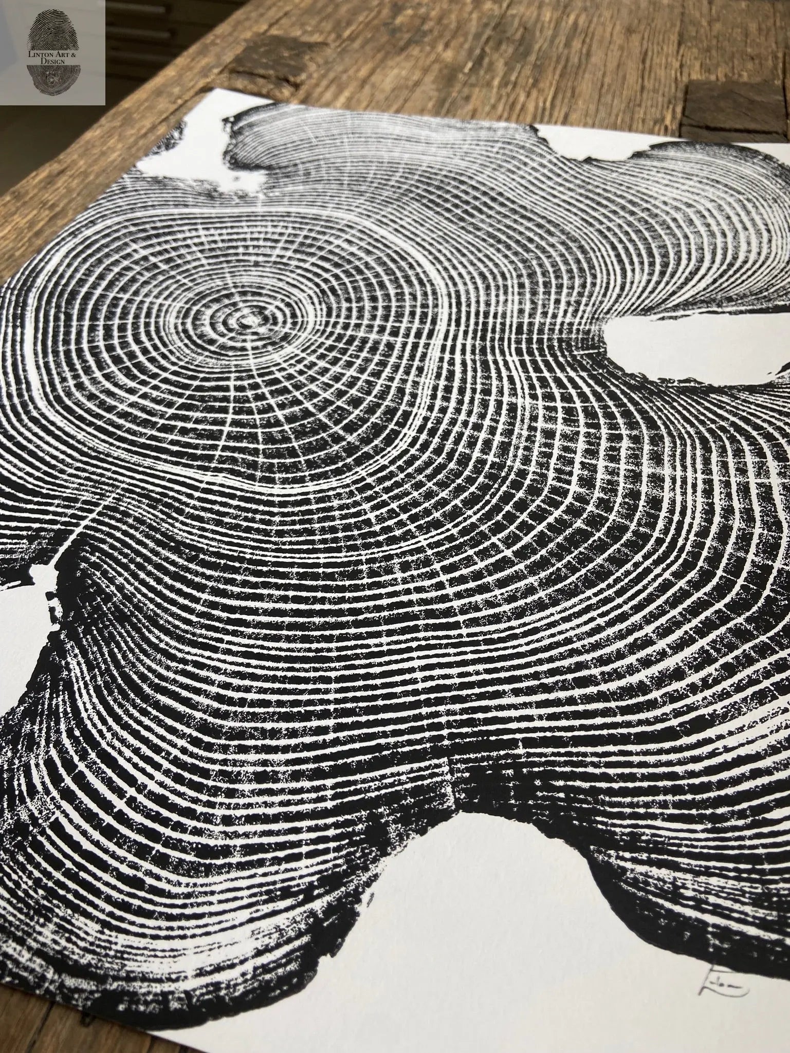 Ohio Locust, Cropped, Limited Edition tree print 12x16 inches. Hand pressed and signed.