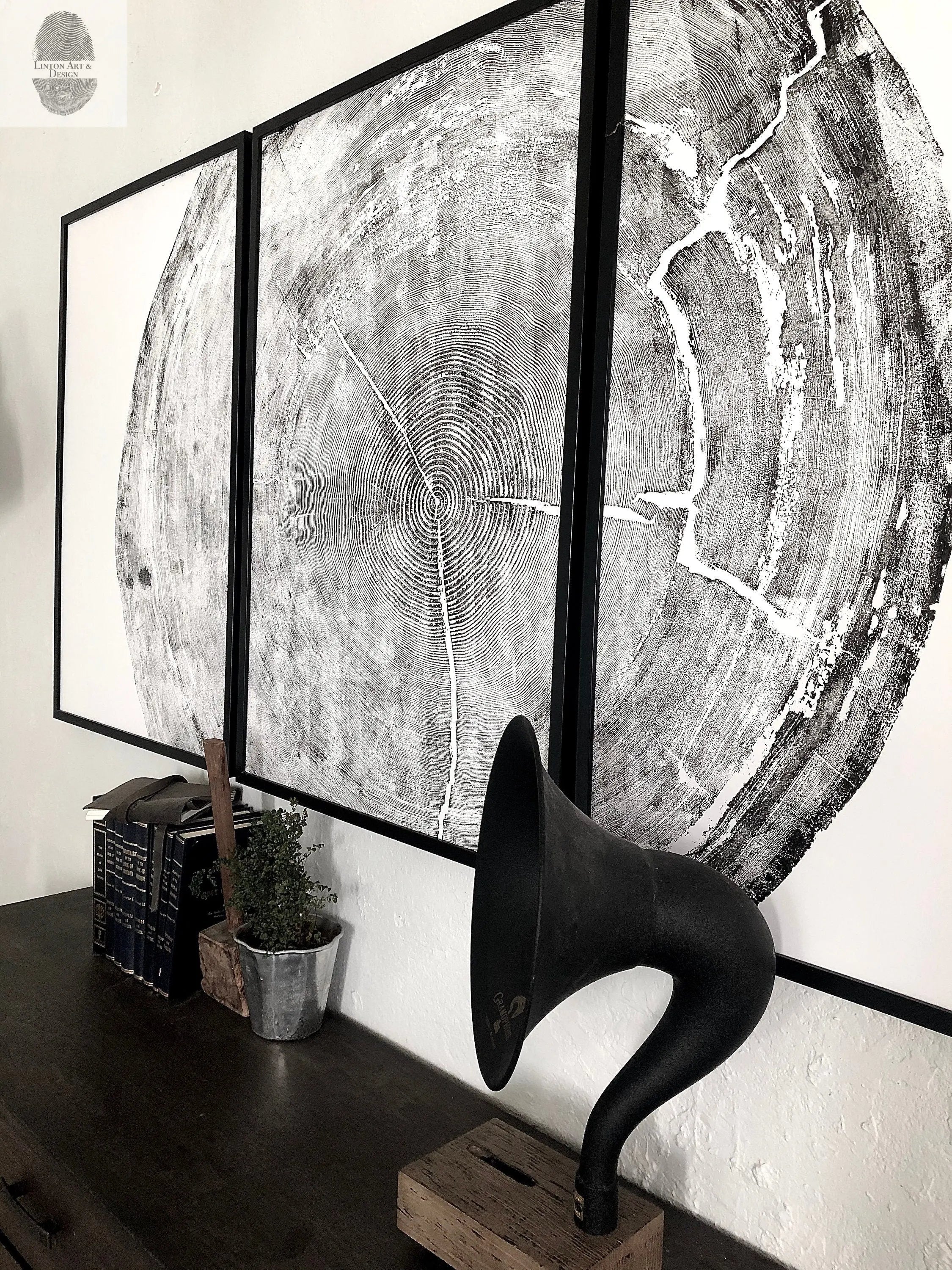 Oregon Coast Tree Ring Prints - Sitka Spruce Set of 3 - 24x36"