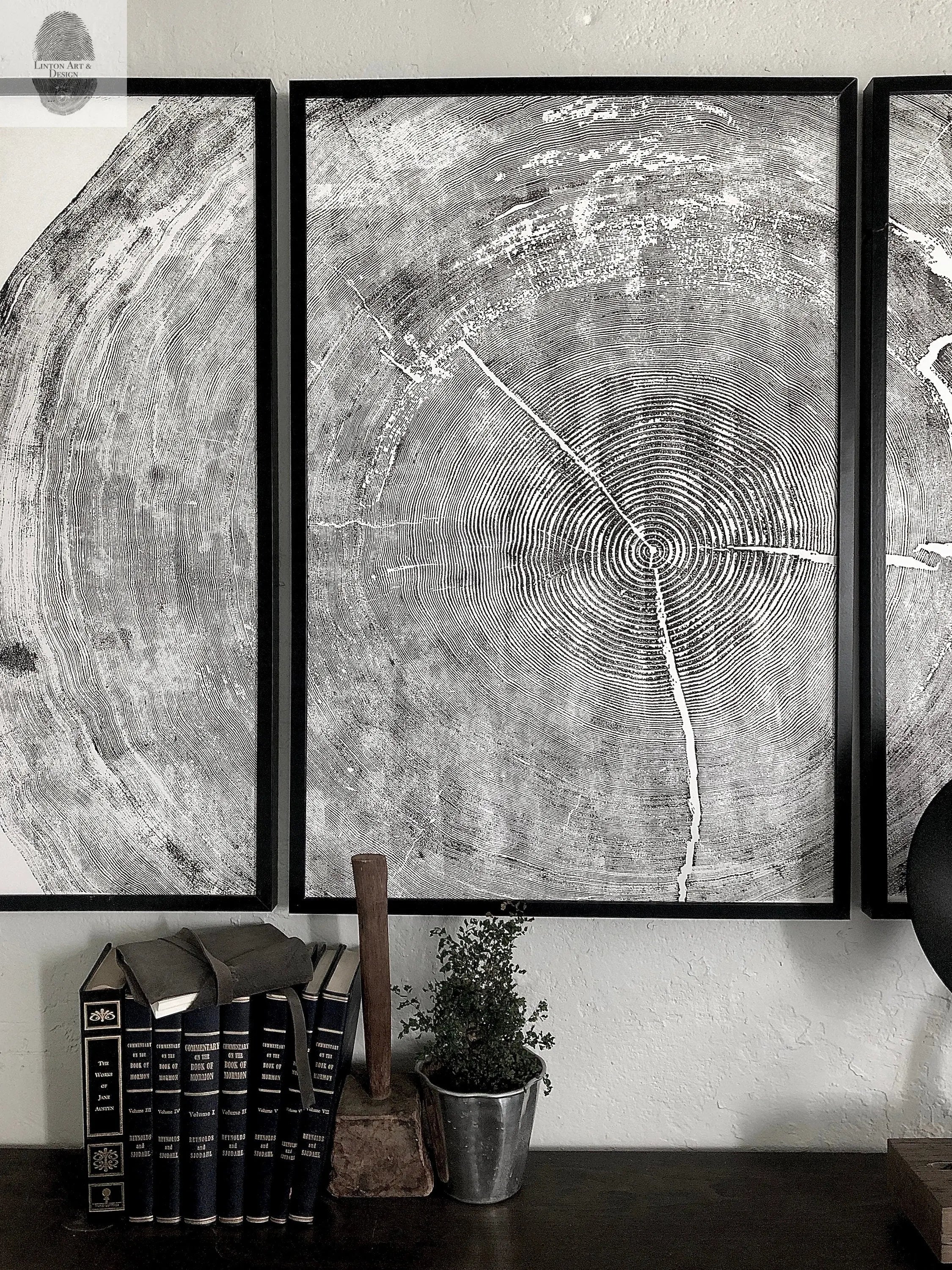 Oregon Coast Tree Ring Prints - Sitka Spruce Set of 3 - 24x36"