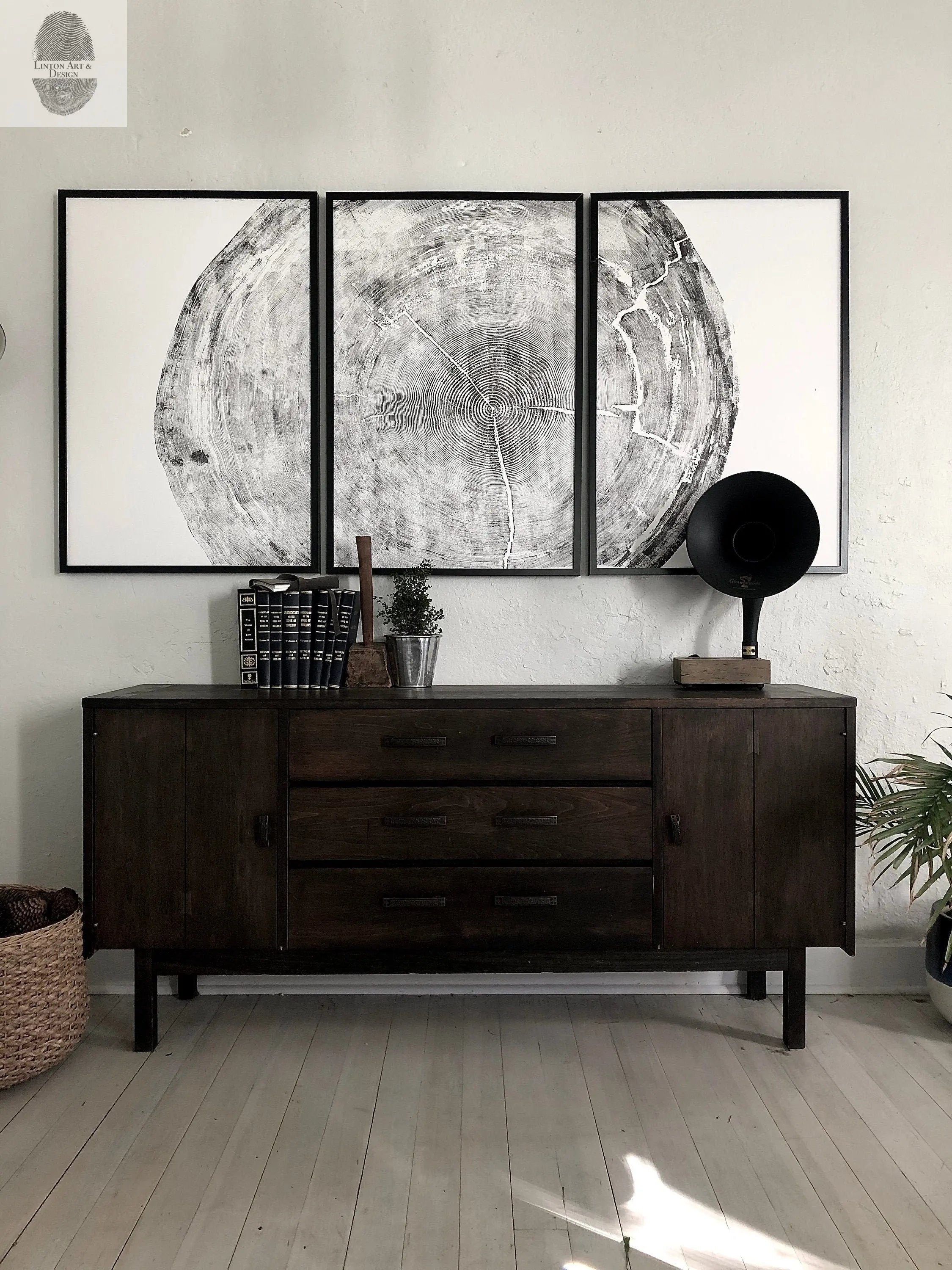 Oregon Coast Tree Ring Prints - Sitka Spruce Set of 3 - 24x36"