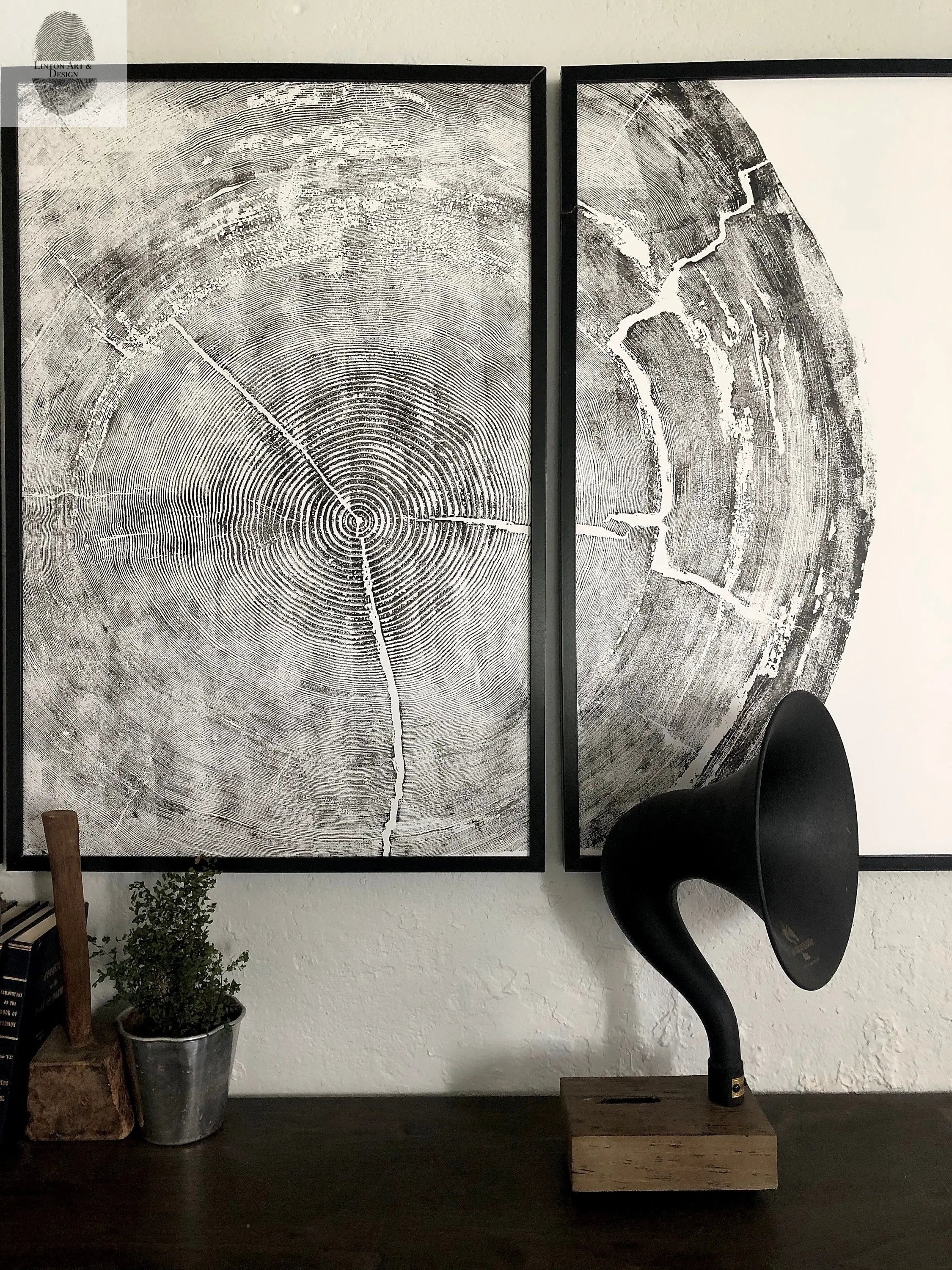 Oregon Coast Tree Ring Prints - Sitka Spruce Set of 3 - 24x36"