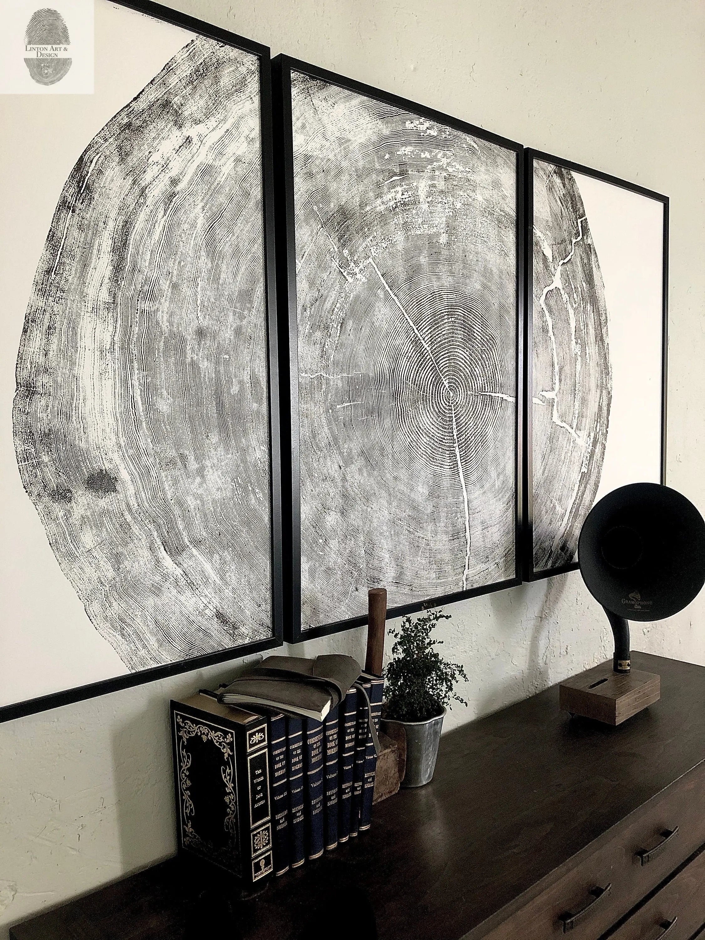 Oregon Coast Tree Ring Prints - Sitka Spruce Set of 3 - 24x36"