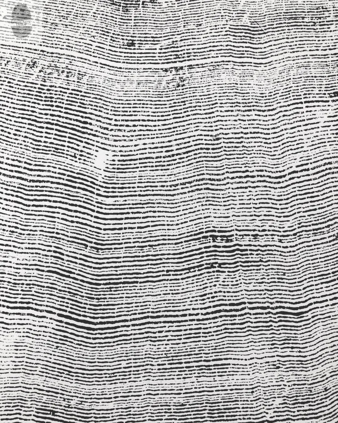 Oregon Coast Tree Ring Prints - Sitka Spruce Set of 3 - 24x36"