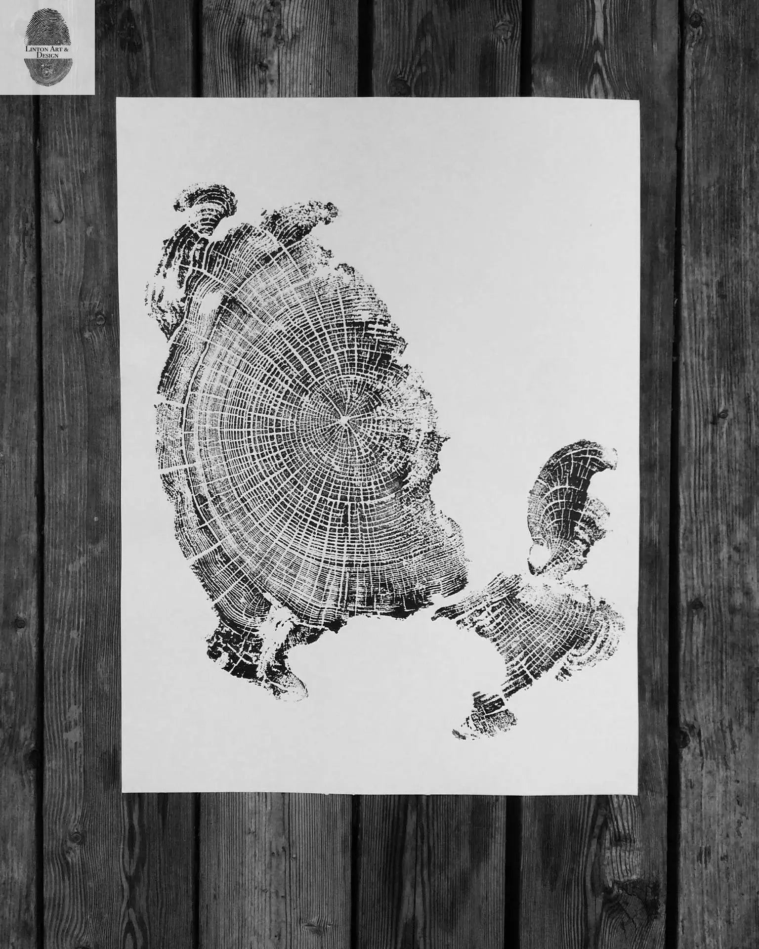 Oregon Coast, Cannon Beach, Driftwood Wall Art, Tree Ring Print, Cascade Mountains, Woodcut Art