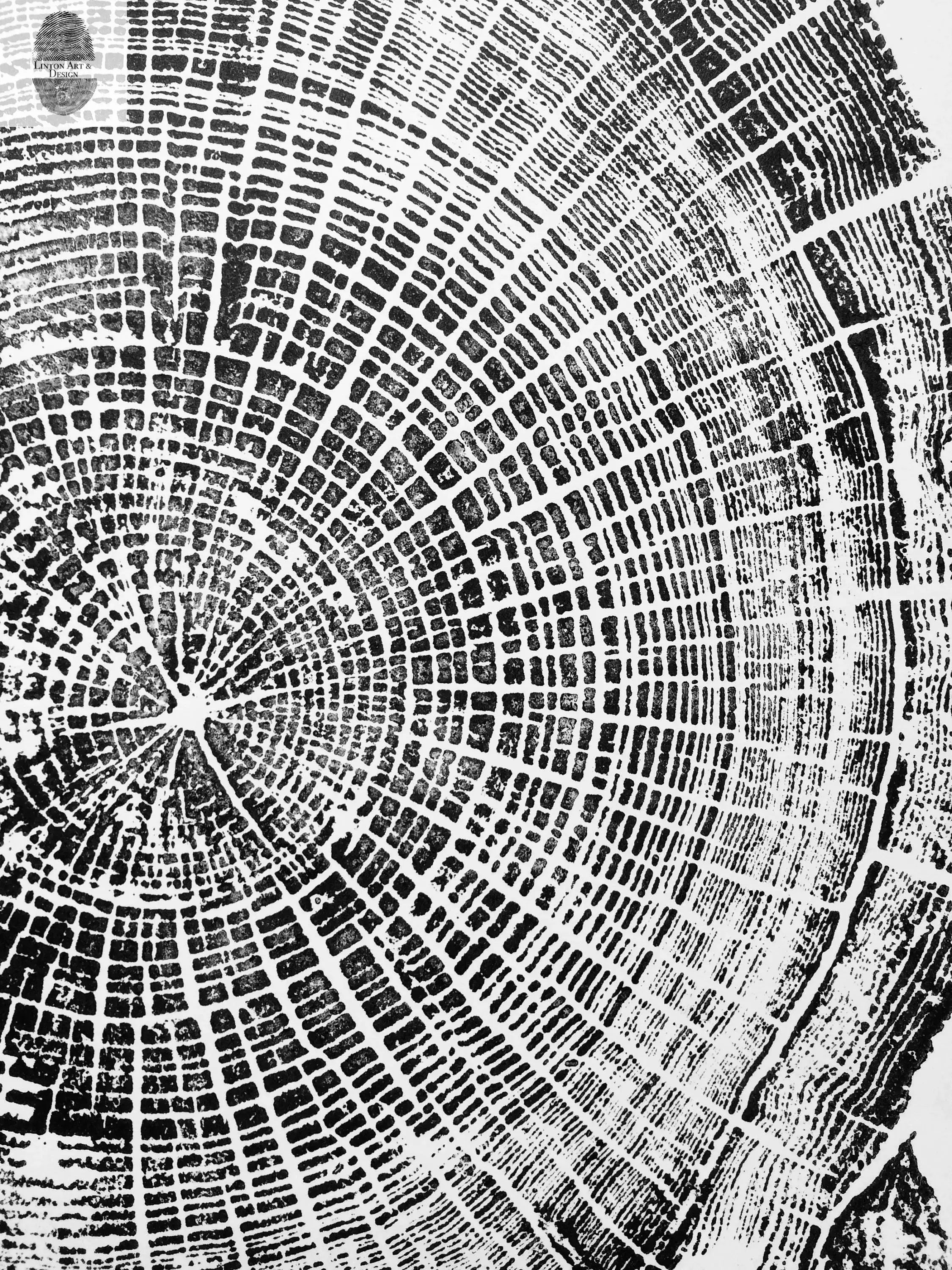 Oregon Coast, Cannon Beach, Driftwood Wall Art, Tree Ring Print, Cascade Mountains, Woodcut Art