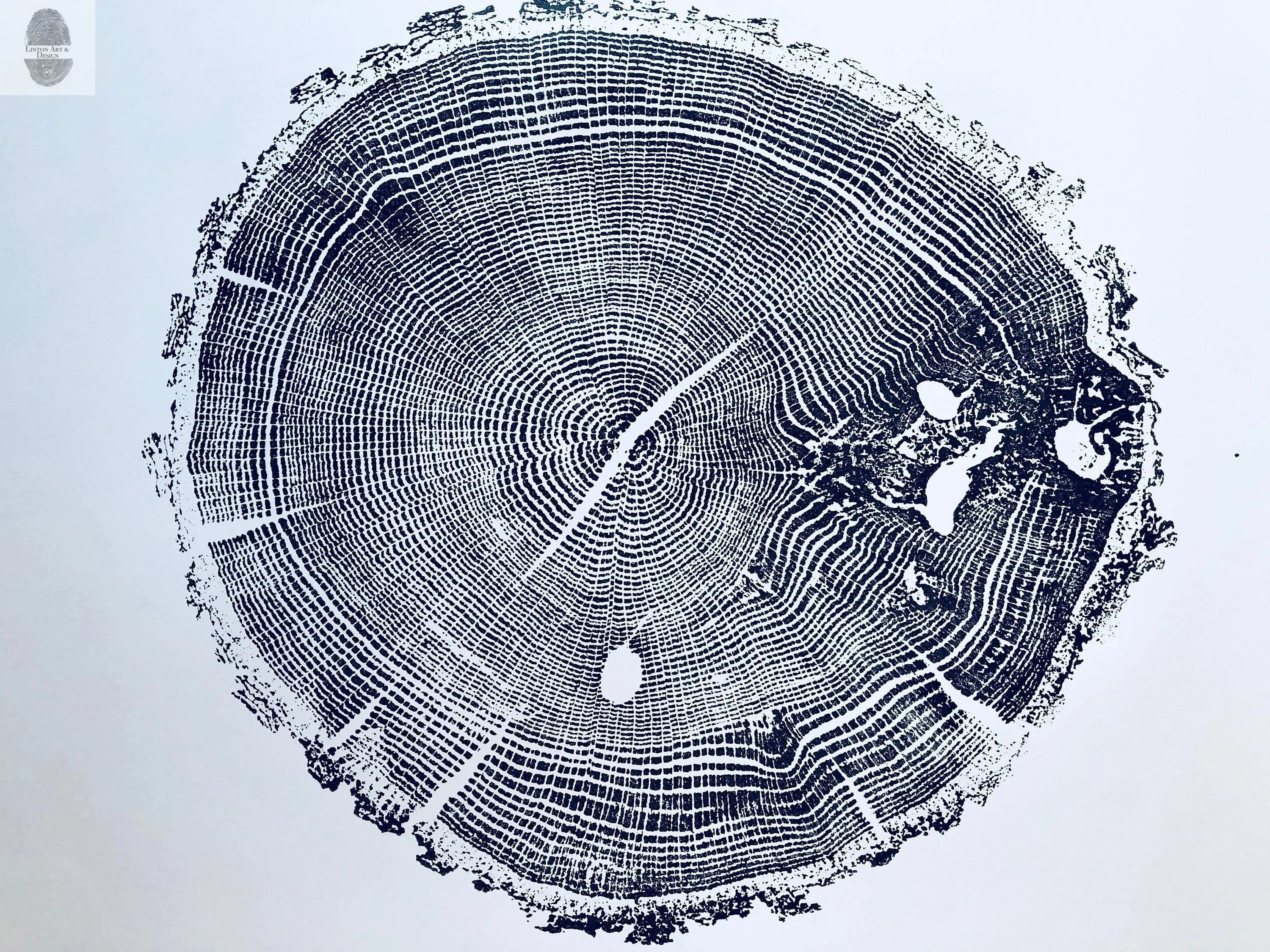 Ozark Mountains, Missouri Oak - 18x24 print