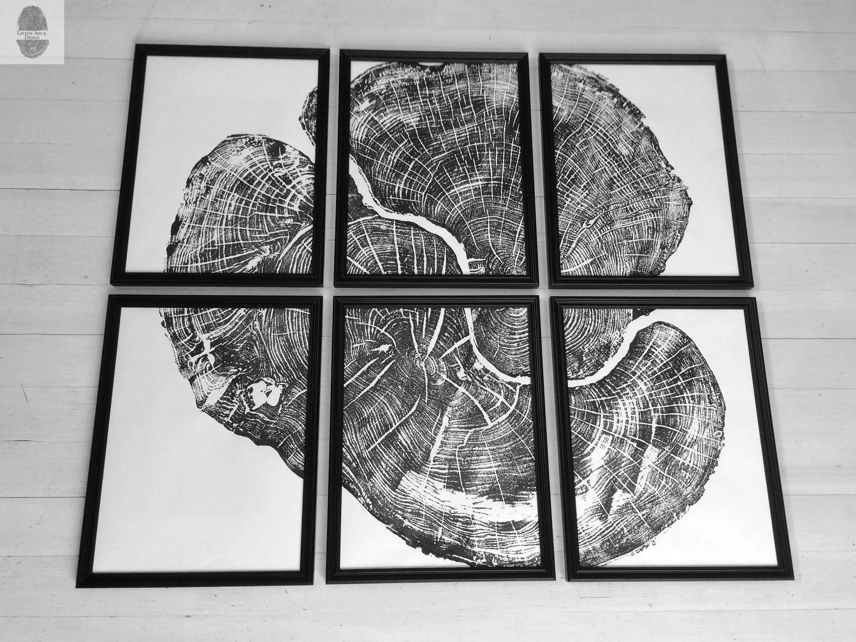 Pennsylvania Sugar Maple Set of 6 - 12x16 each print