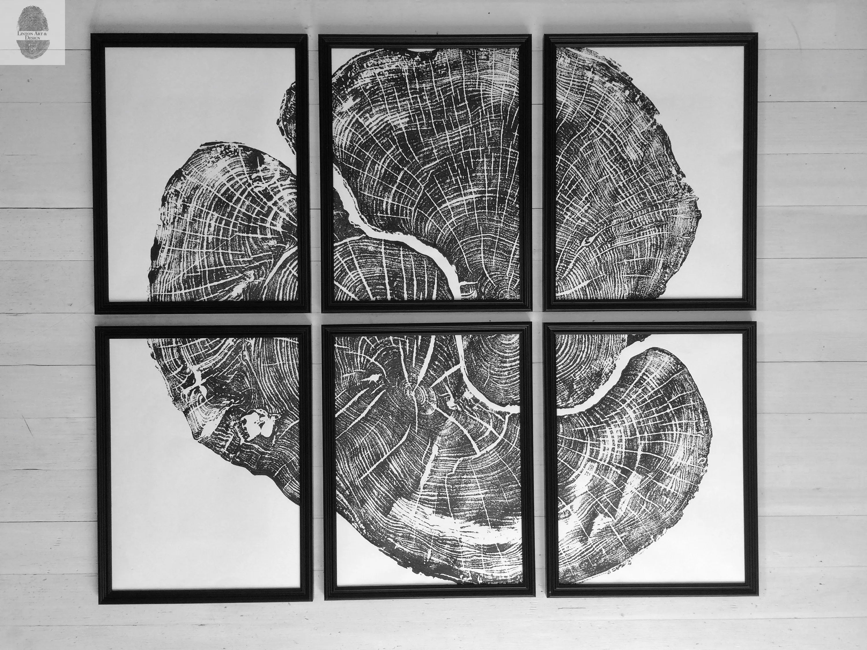 Pennsylvania Sugar Maple Set of 6 - 12x16 each print