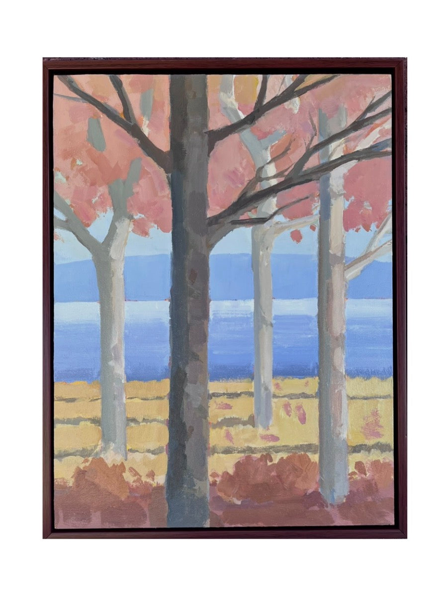 Aspen Morning Light - Original Art - Understory