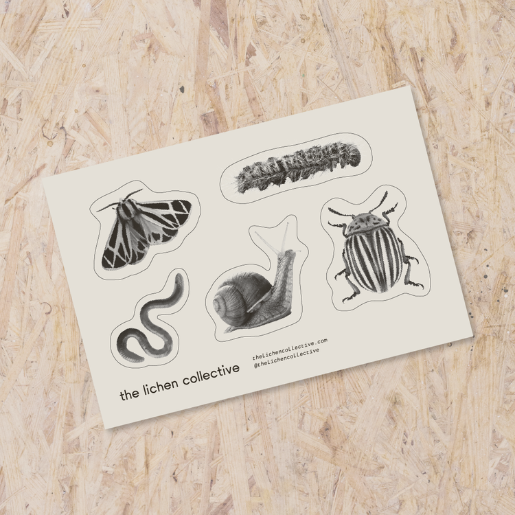 black and gray sticker critter sticker sheet with five different bug stickers - moth, beetle, caterpillar, worm, and snail