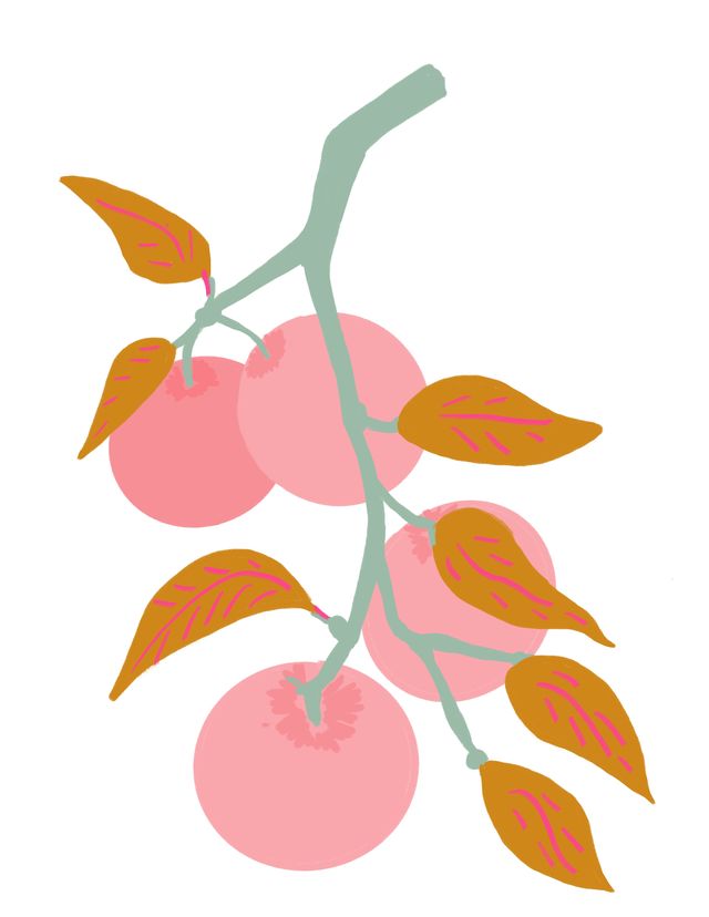 Pink Apples Print