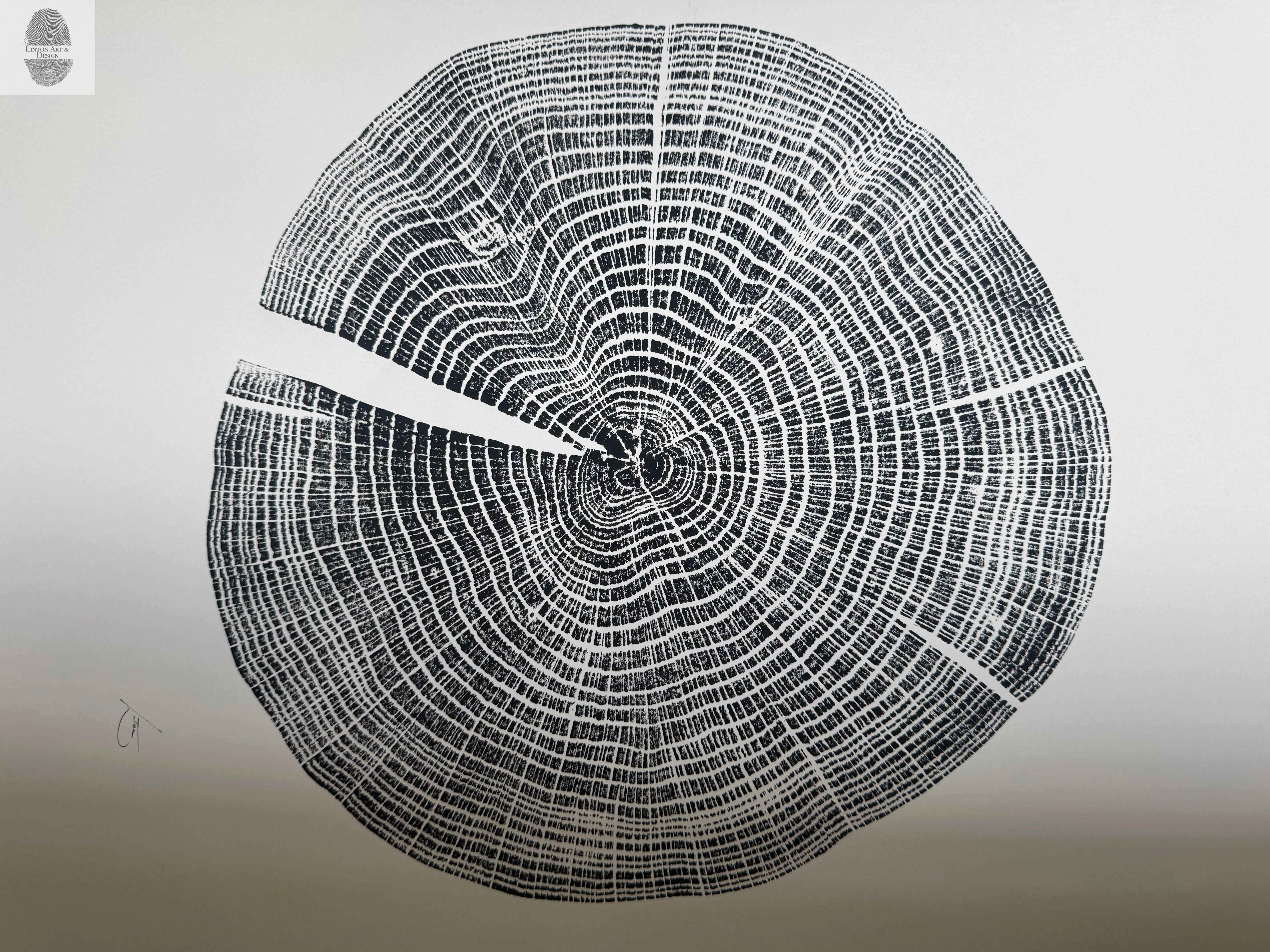 Red Oak Tree Ring Print – Spartanburg County, SC – 18x24 Original Signed Woodcut