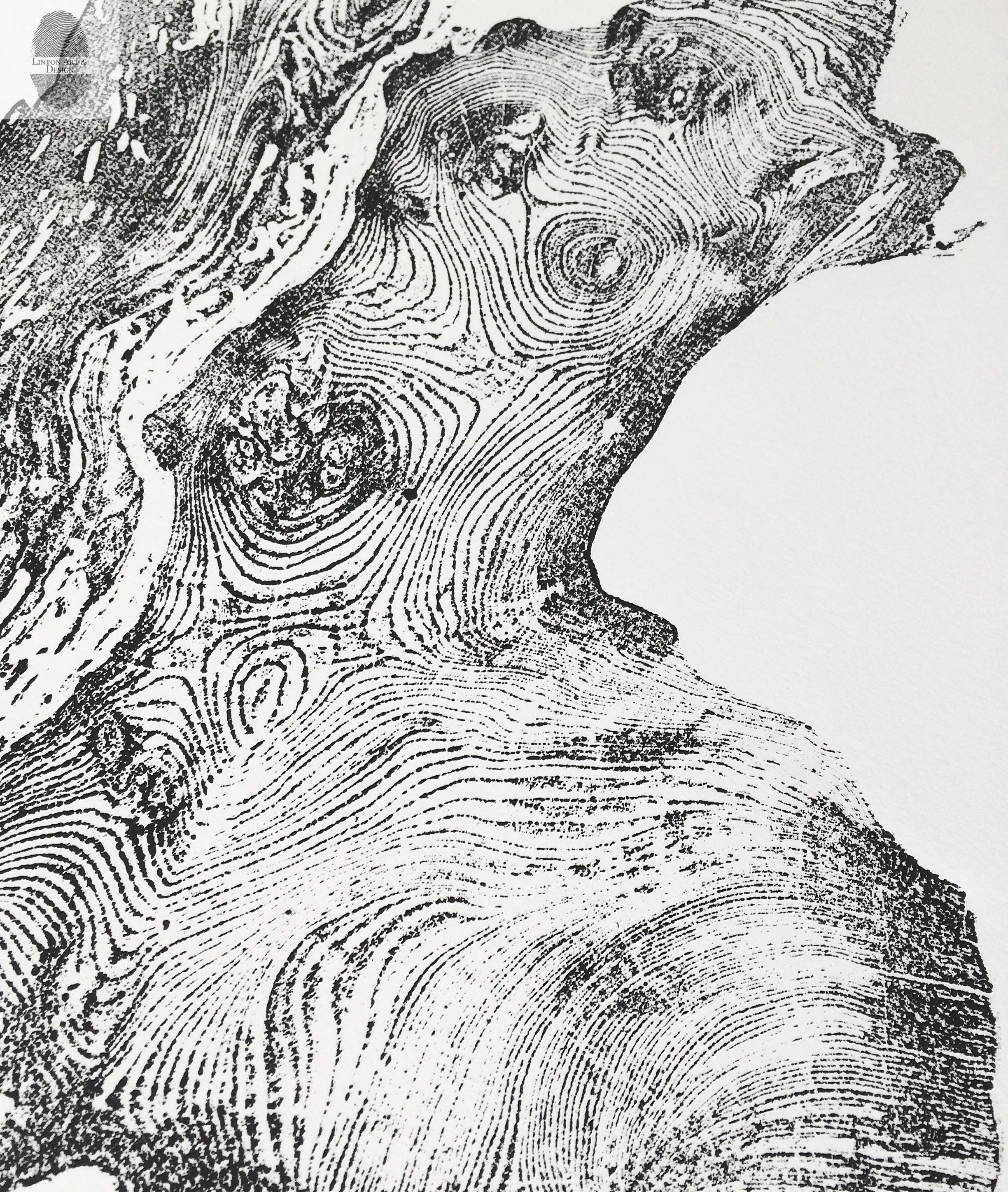 Redwood Burl, Tree Ring Print, Woodcut print, Tree of Life, , 24x36 print, Signed original Print