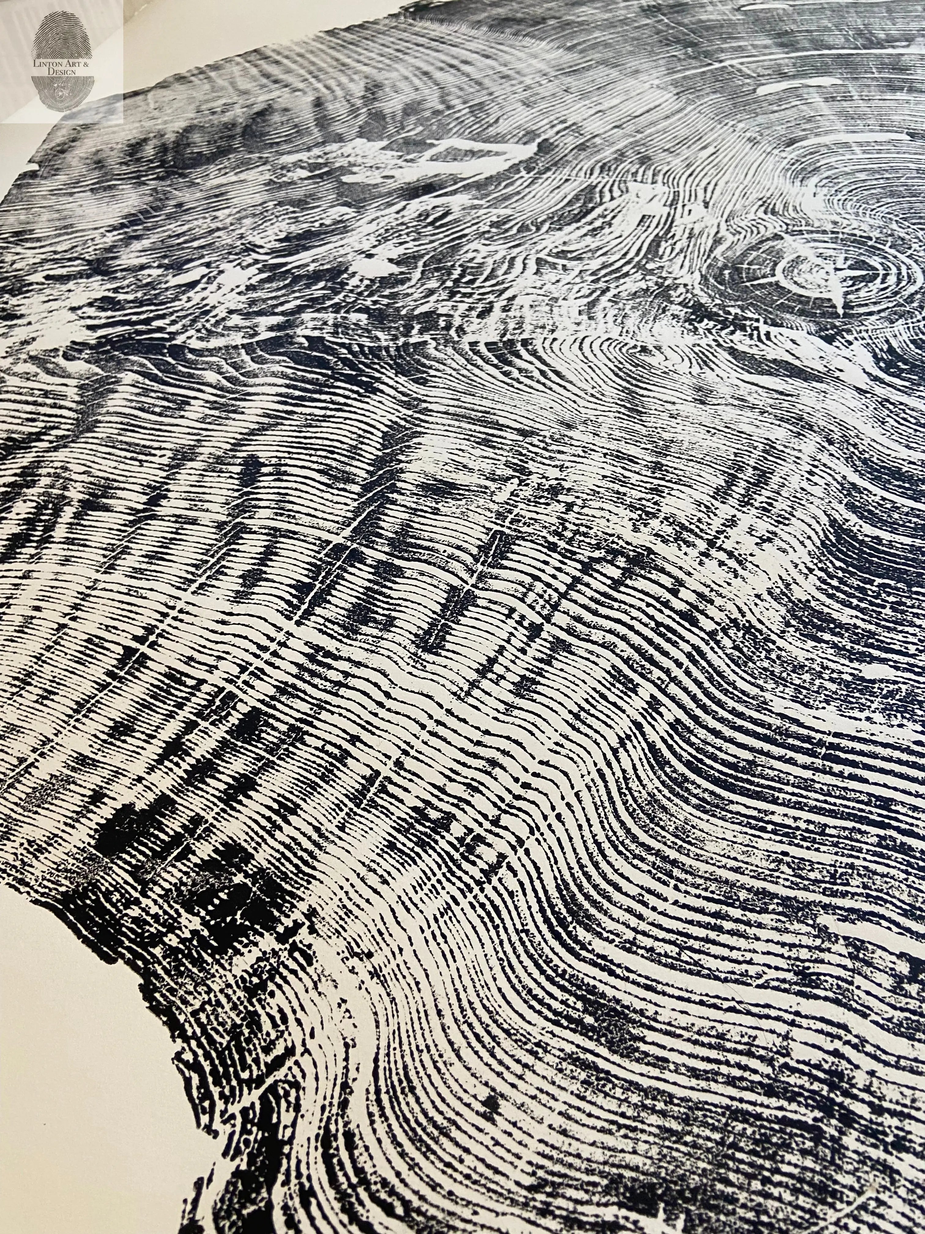 Redwood Tree, Tree Ring Print, California Coast, Wood Slice Wall Art, Huge Wall Art, Natural Wood Slices 52”x72”