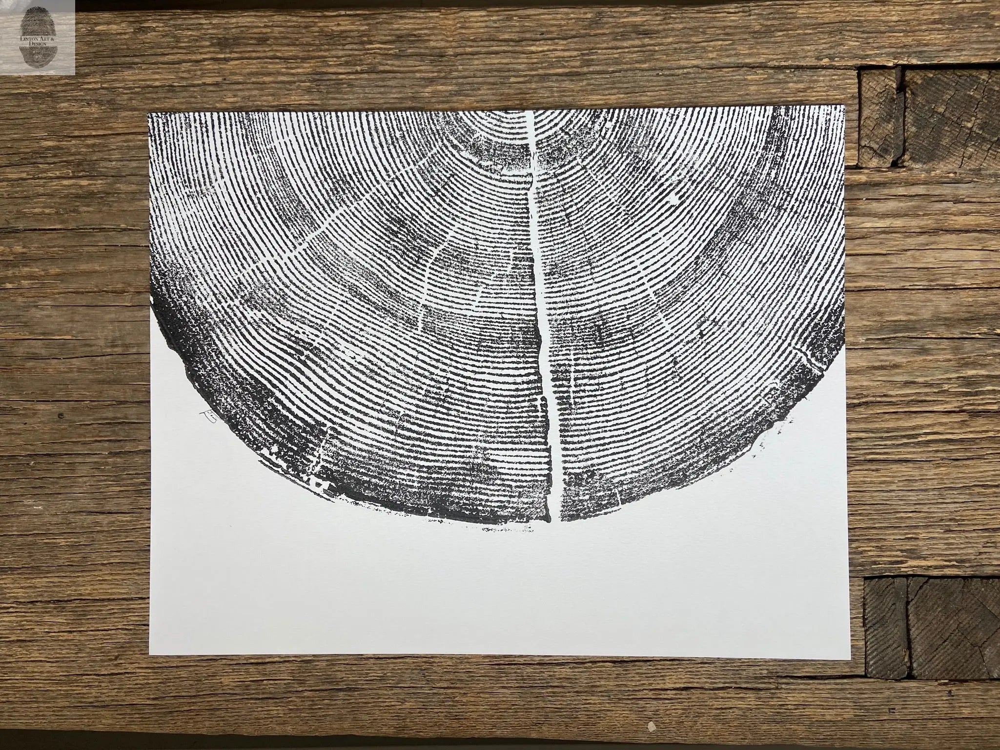 Rock Canyon Pine, Cropped, Limited Edition 11x14 inches. Hand pressed and signed.