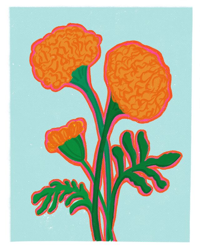 Marigolds Print