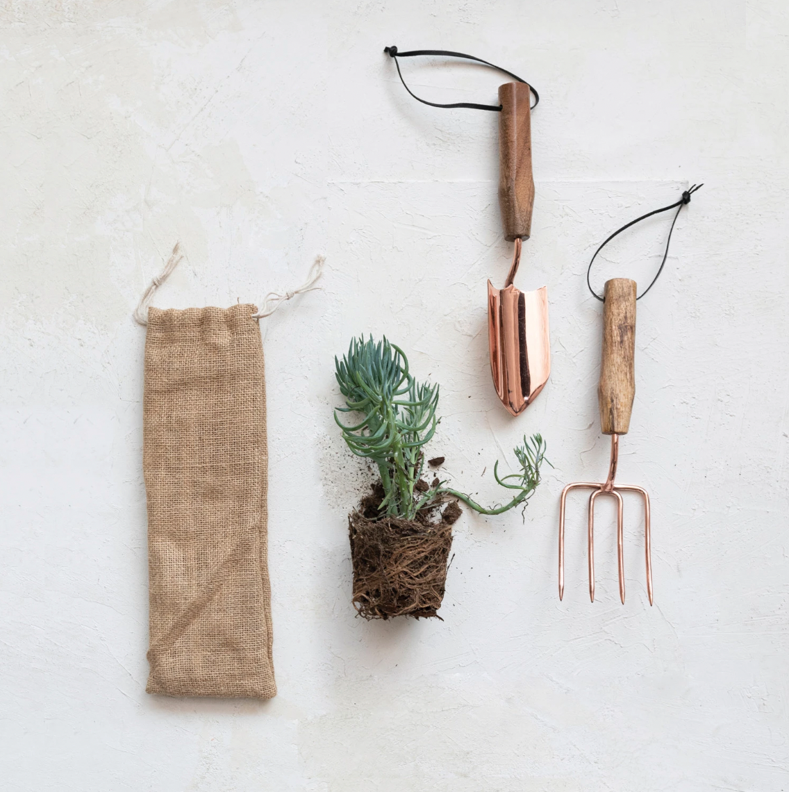 Stainless Steel Garden Tools w/ Mango Wood Handles & Leather Ties