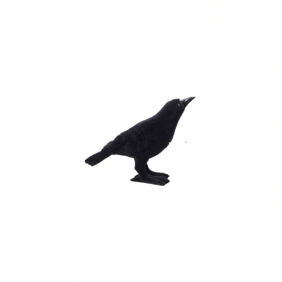 FLOCKED CROW HEAD UP