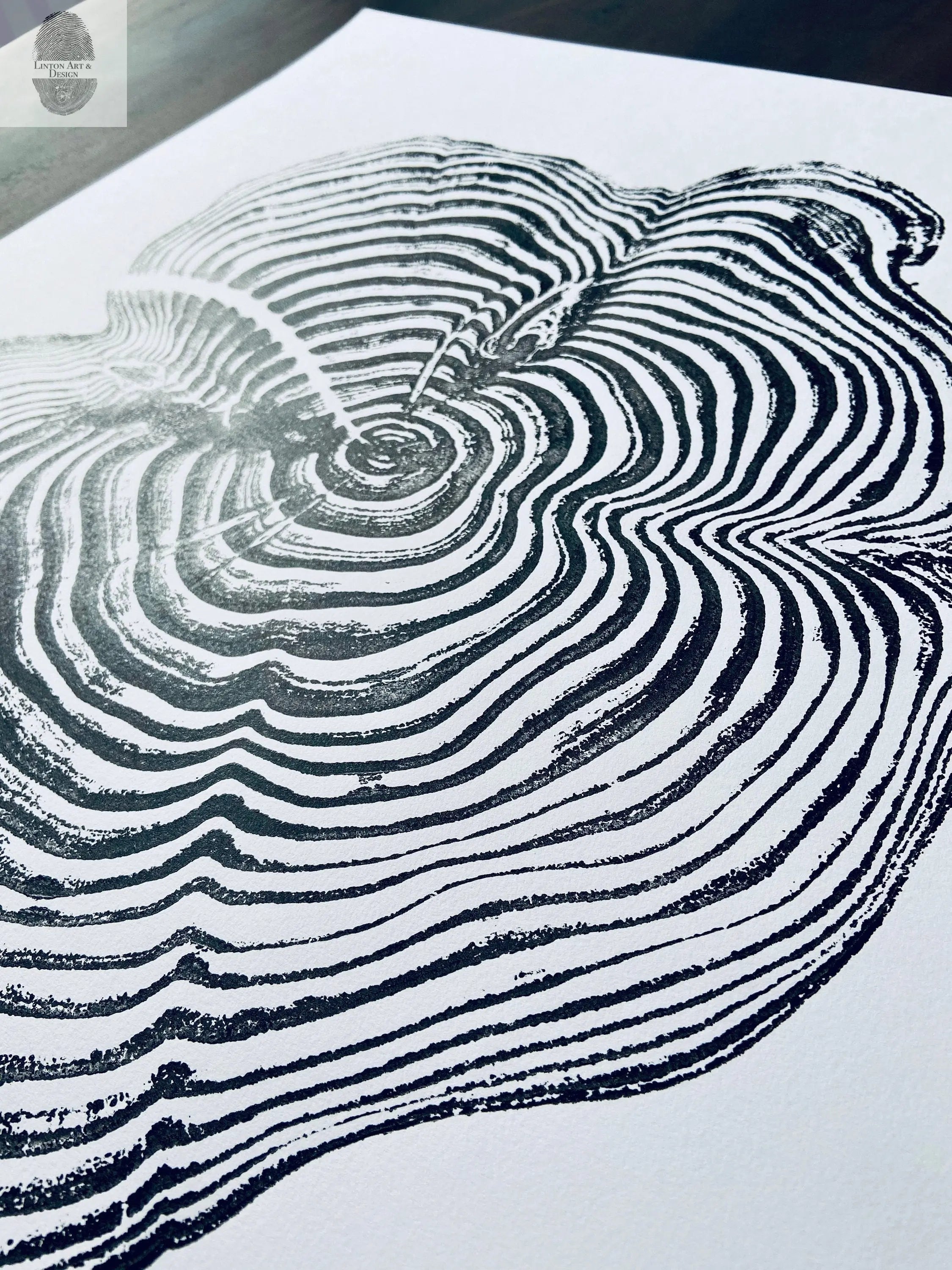 Sequoia National Park and Kings Canyon, California Sequoia - 18x24 print