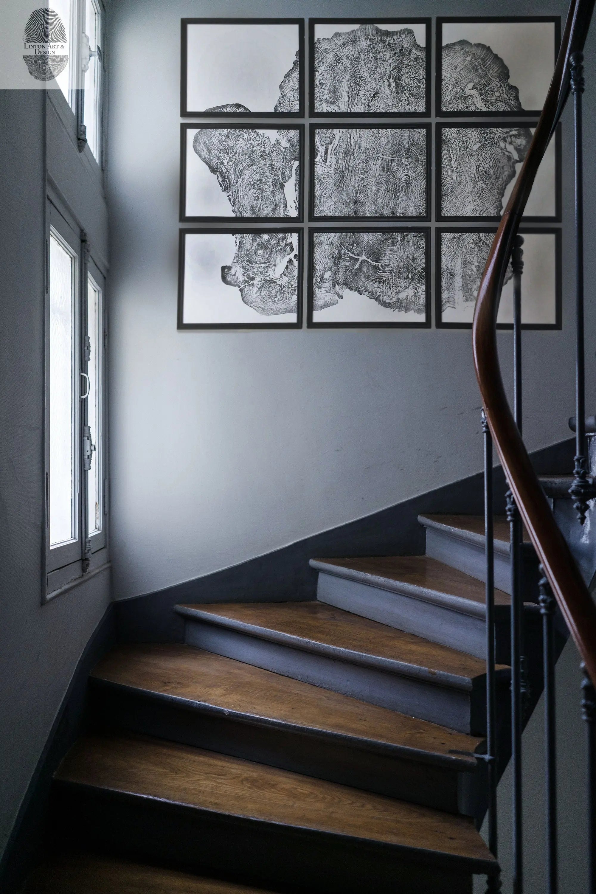 Set of 9 prints, Tree ring art, Maple Tree, Tree ring prints, Gallery wall art, Massachusetts Big Leaf Maple Tree 12x16 each prints