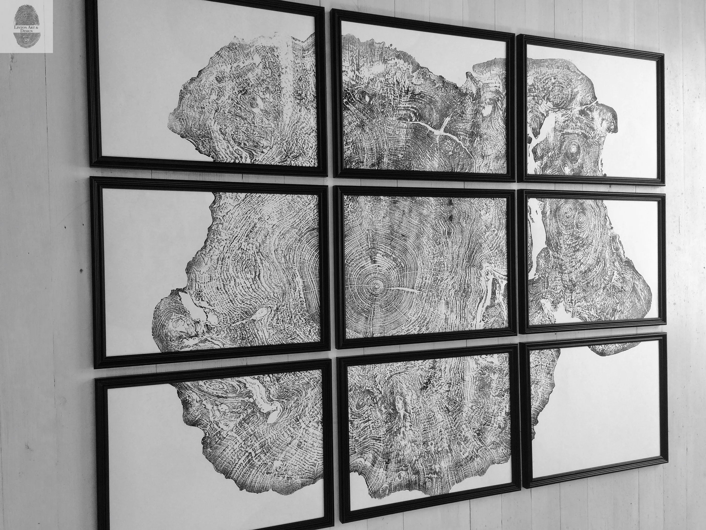 Set of 9 prints, Tree ring art, Maple Tree, Tree ring prints, Gallery wall art, Massachusetts Big Leaf Maple Tree 12x16 each prints