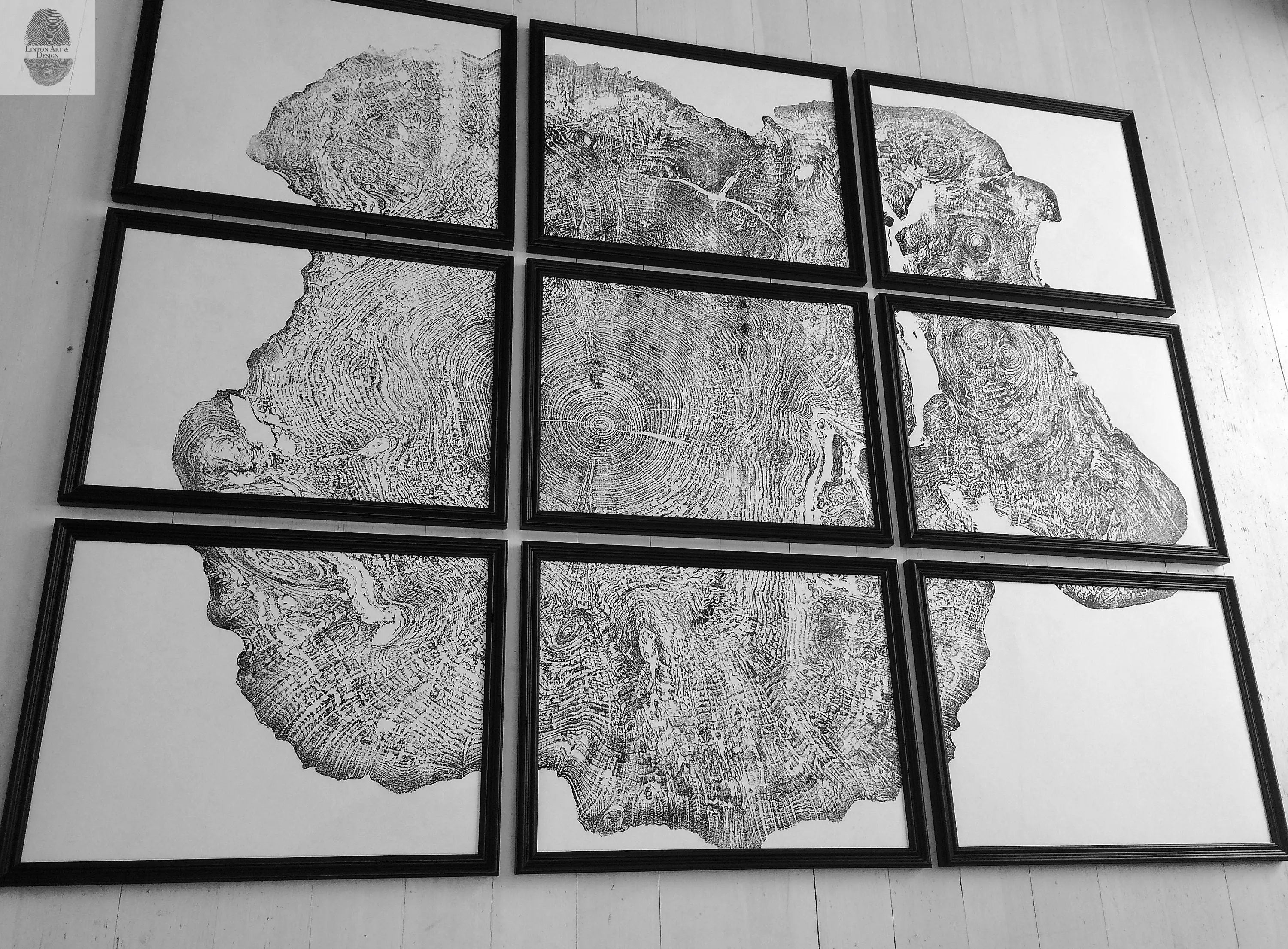 Set of 9 prints, Tree ring art, Maple Tree, Tree ring prints, Gallery wall art, Massachusetts Big Leaf Maple Tree 12x16 each prints