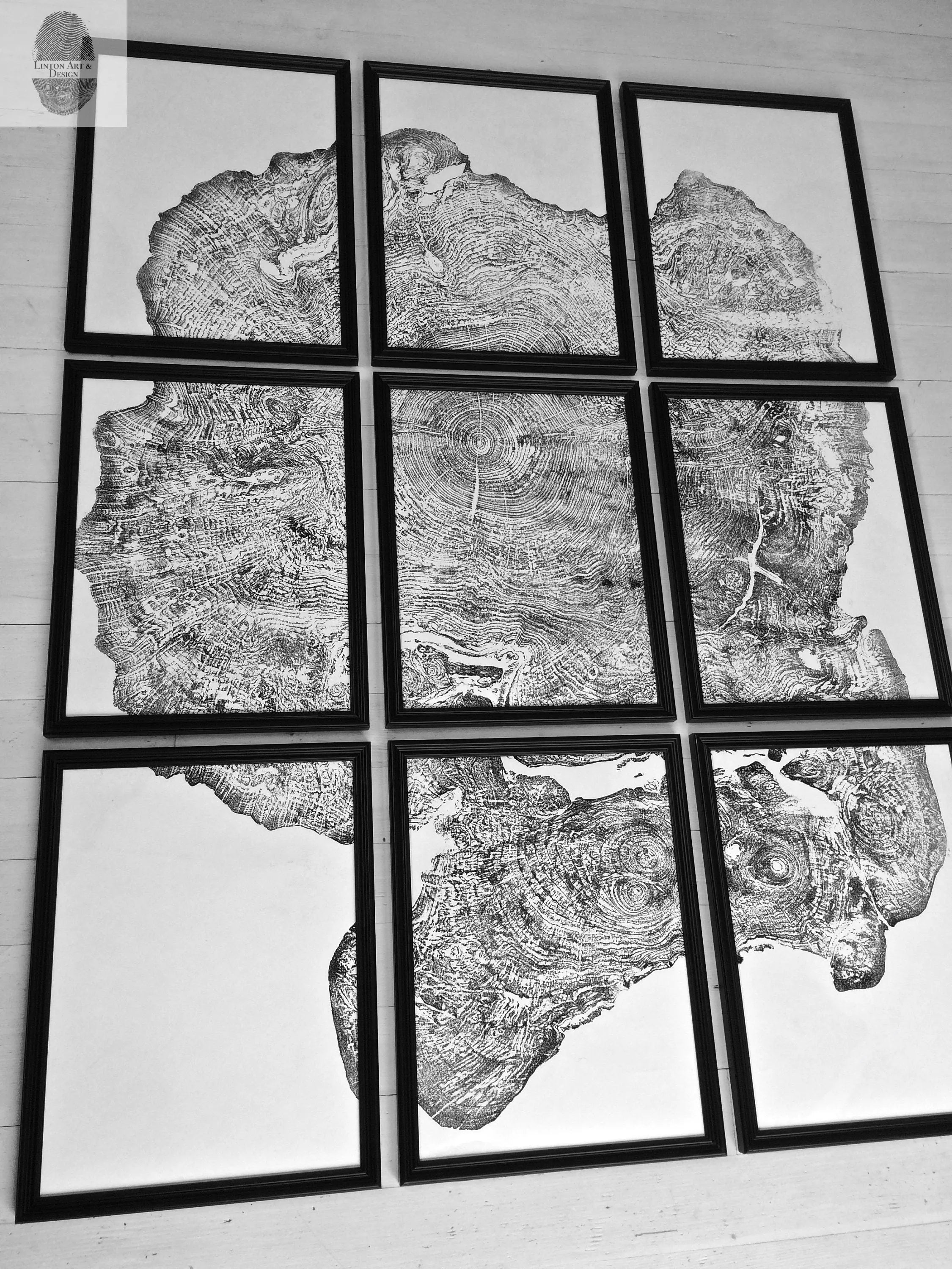 Set of 9 prints, Tree ring art, Maple Tree, Tree ring prints, Gallery wall art, Massachusetts Big Leaf Maple Tree 12x16 each prints