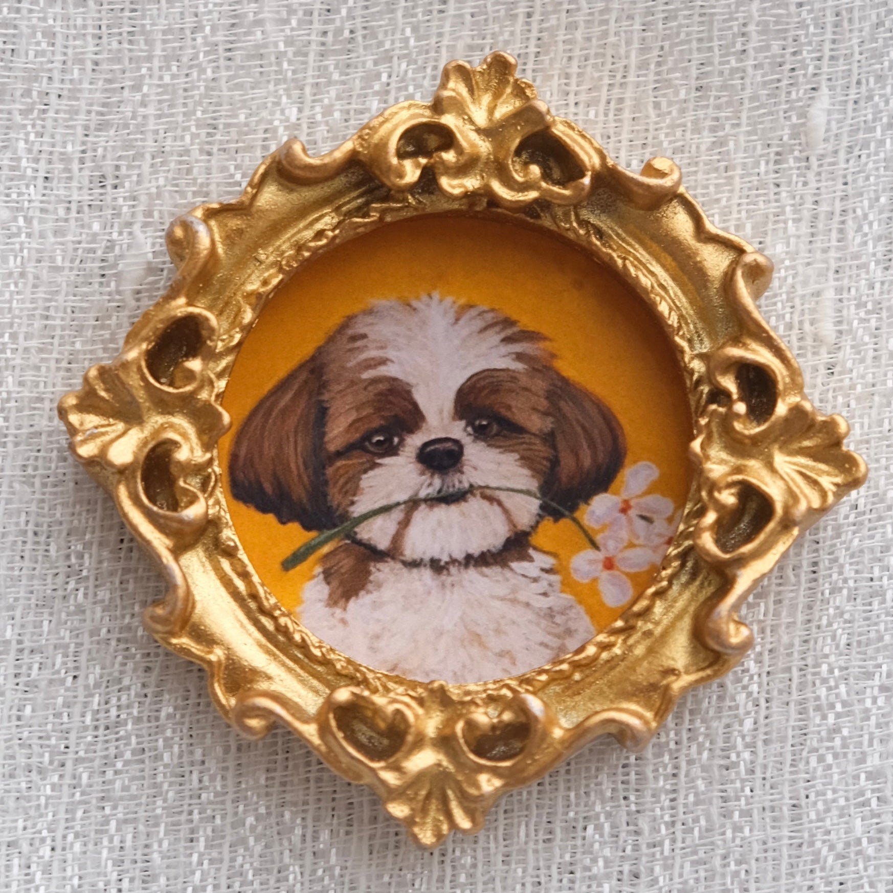 A cute shih tzu with brown spots over his eyes and ears is holding a daisy in his mouth as if to bring you a flower. Set atop a yellow background inside a gold resin frame. 