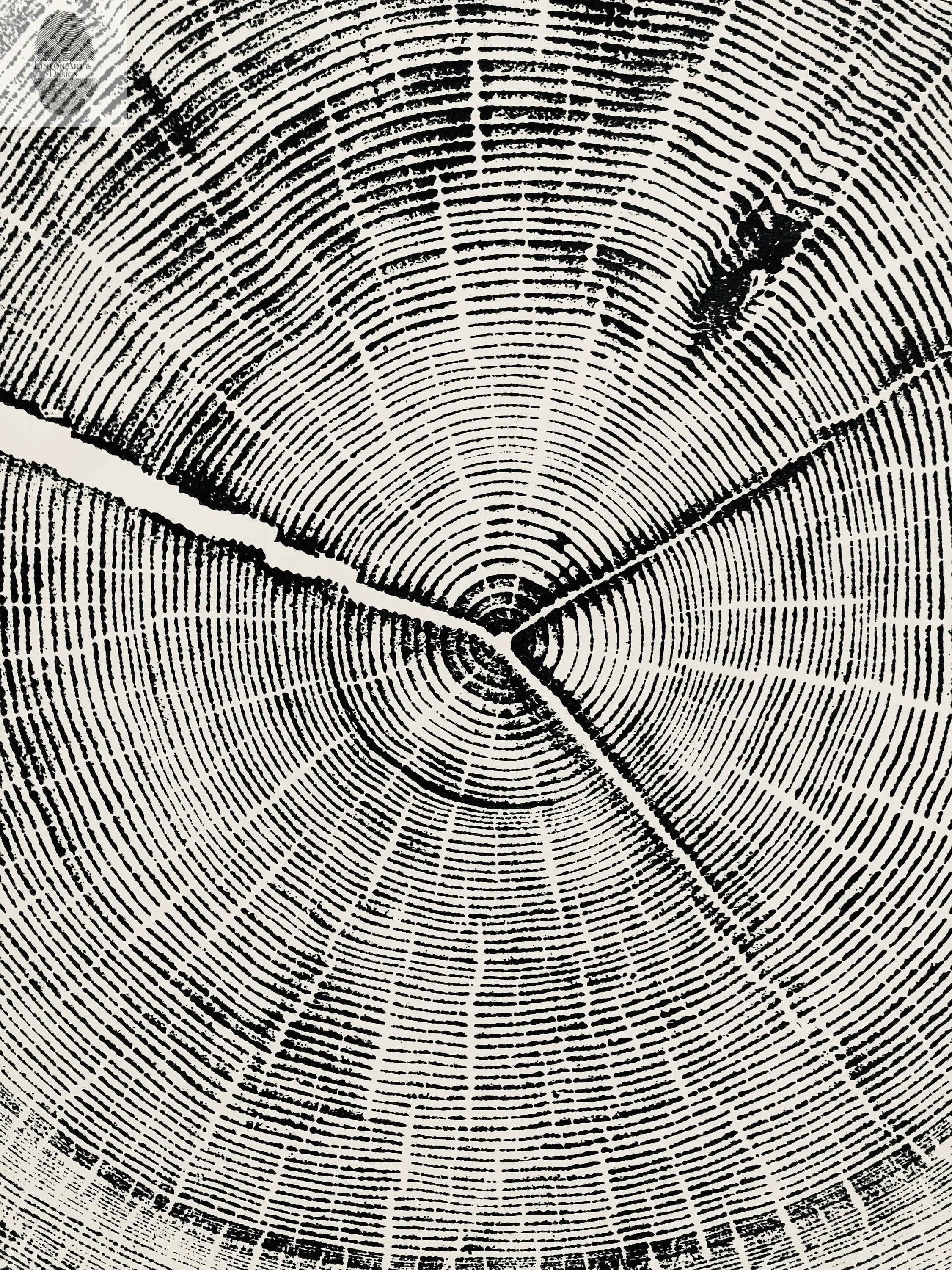 Snowbird Ski Resort, Cottonwood Canyon, Utah Douglas Fir- 24x36 print