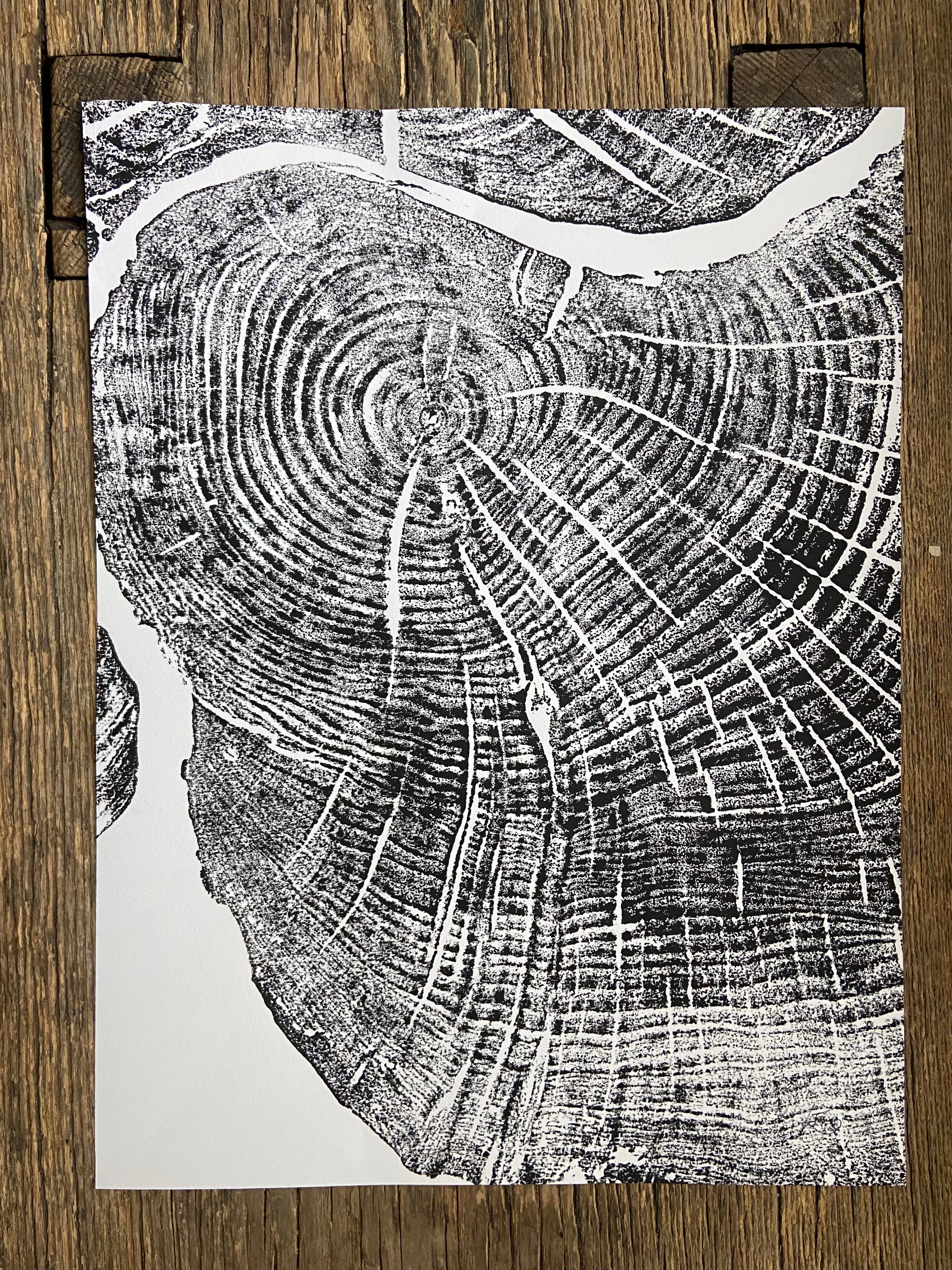 Sugar Maple, Cropped, Limited Edition 12x16 inches. Hand pressed and signed.