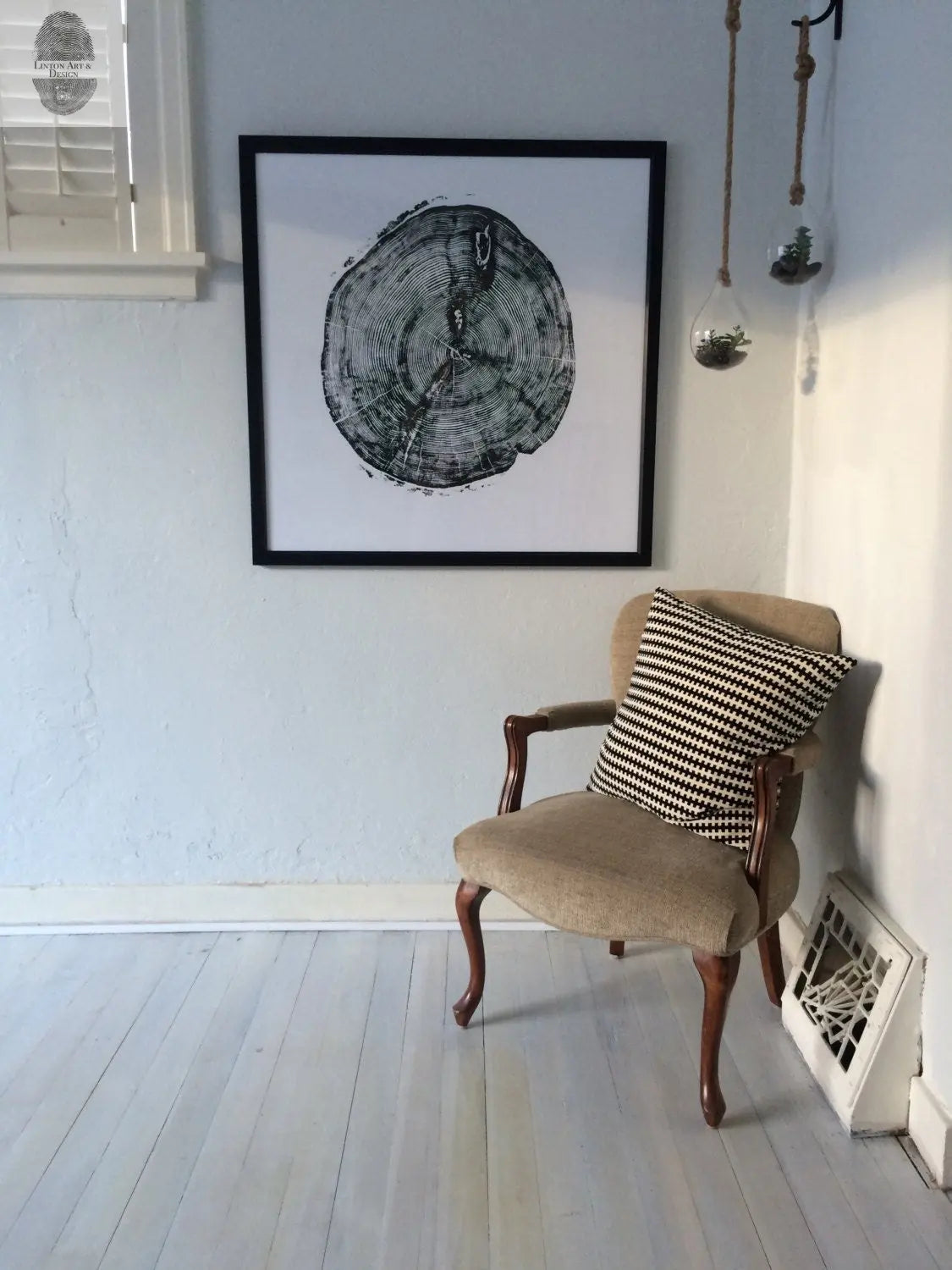 Sundance Canyon, Utah, White Pine - 36x36 Print