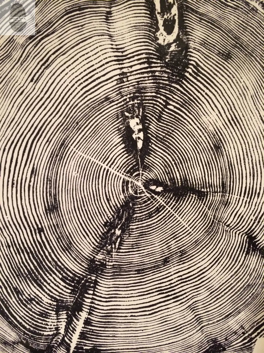 Sundance Canyon, Utah, White Pine - 36x36 Print