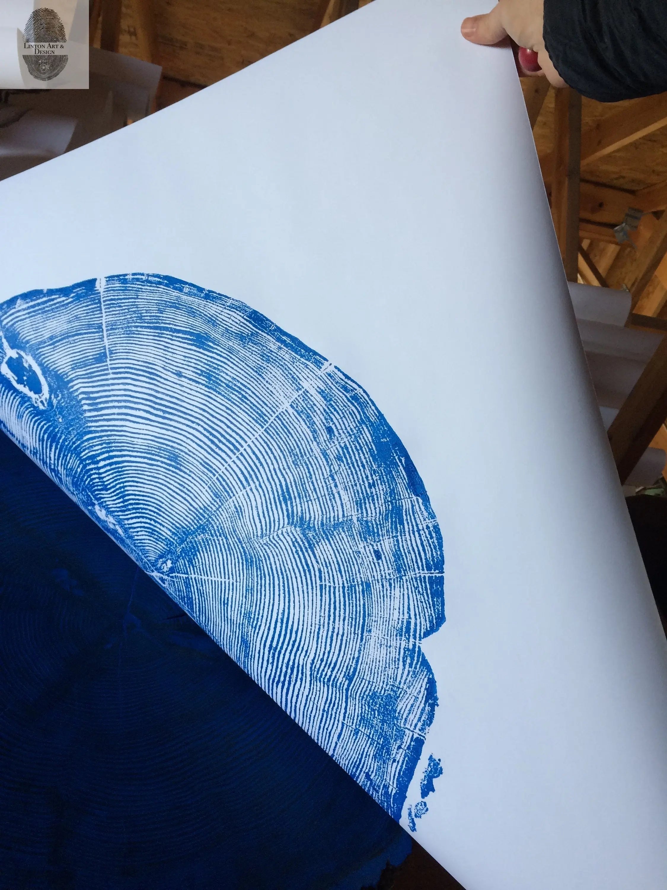 Sundance Canyon, Utah, White Pine - 36x36 Print