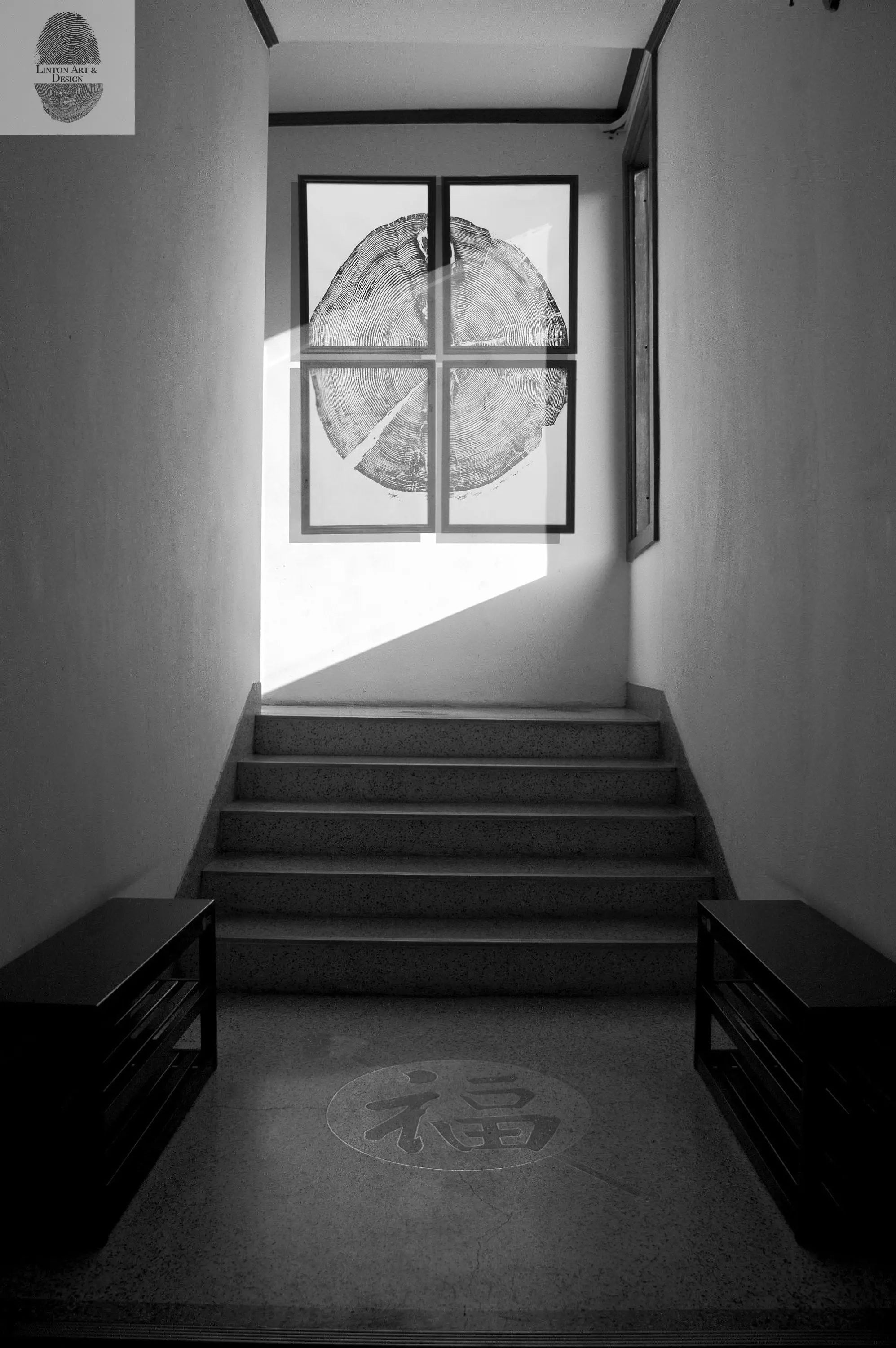 Sundance Canyon, Utah, White Pine Set of 4 - 12x16 each print