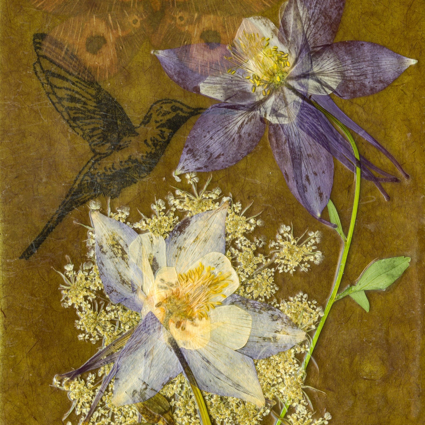 The Wooden Moth Prints