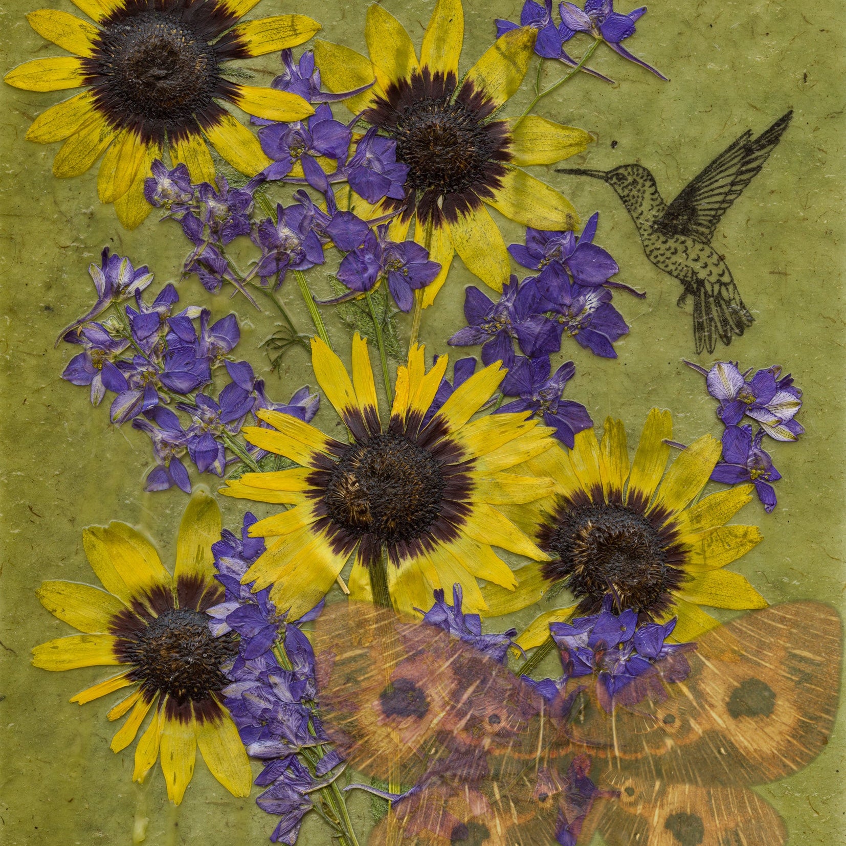 The Wooden Moth Prints