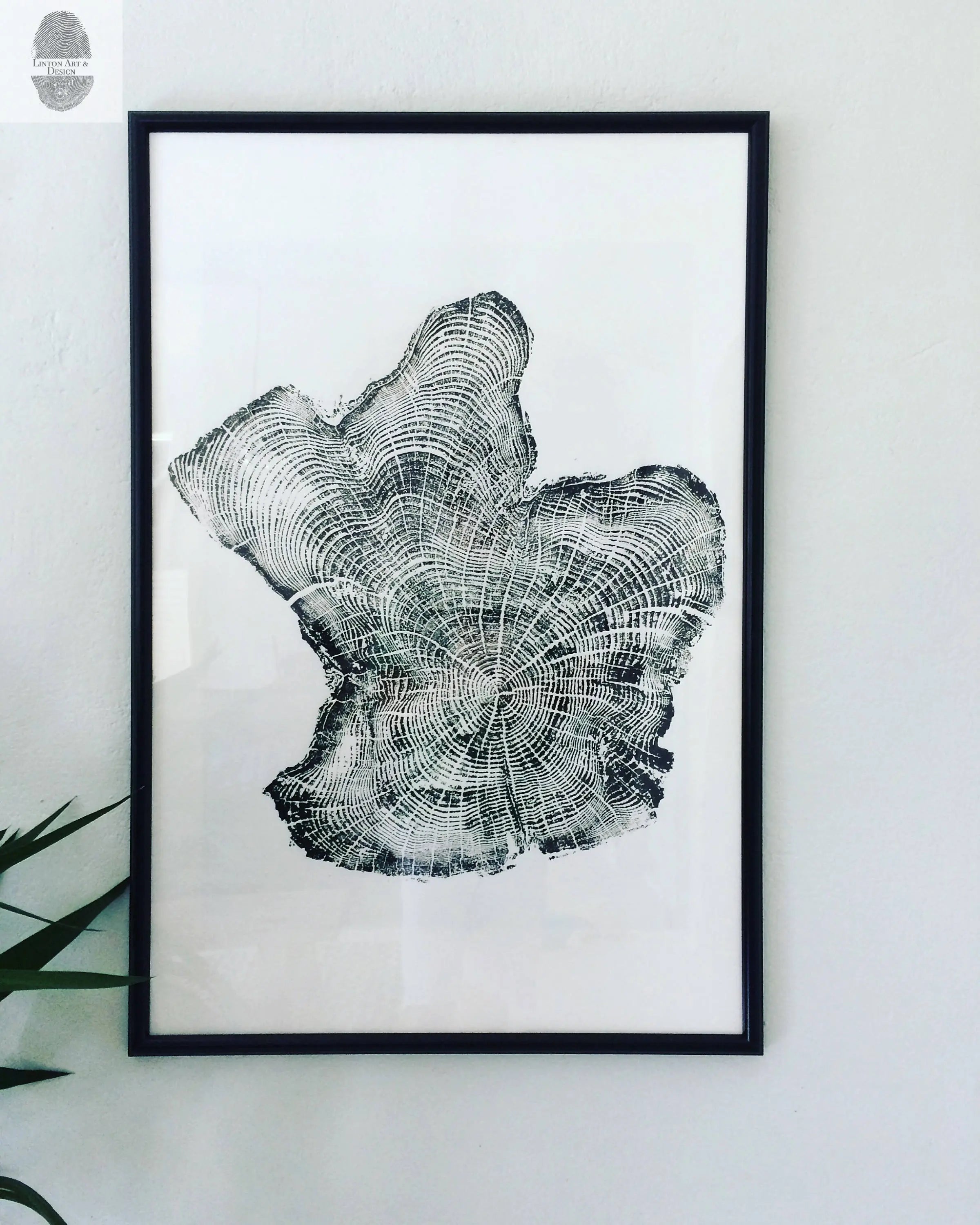 Tree rings Print, Three Panel Wall Art, Woodcut print, Lumber, Tree of Life, Sacred Geometry, Live Edge, Shabby Tree, Each 24x36 inches