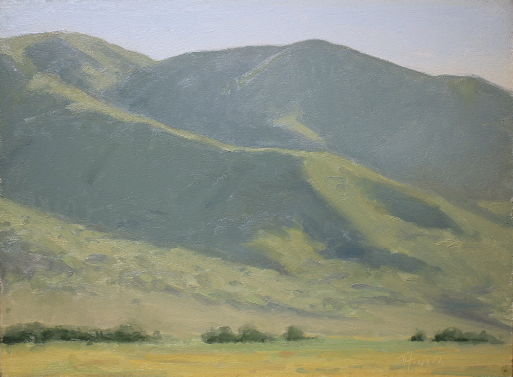 Tall, green mountains with hills and shadows. Greenery lines the plateau towards the bottom of the painting. 