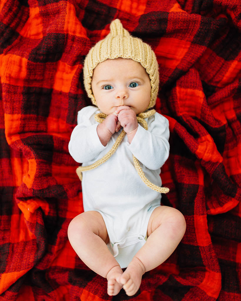 Featuring hand-painted prints, this versatile swaddle is an everyday essential. Crafted in lightweight and breathable cotton muslin, ideal for swaddling, nursing, cuddling and more. Cotton Muslin Swaddle Blanket - Red Plaid