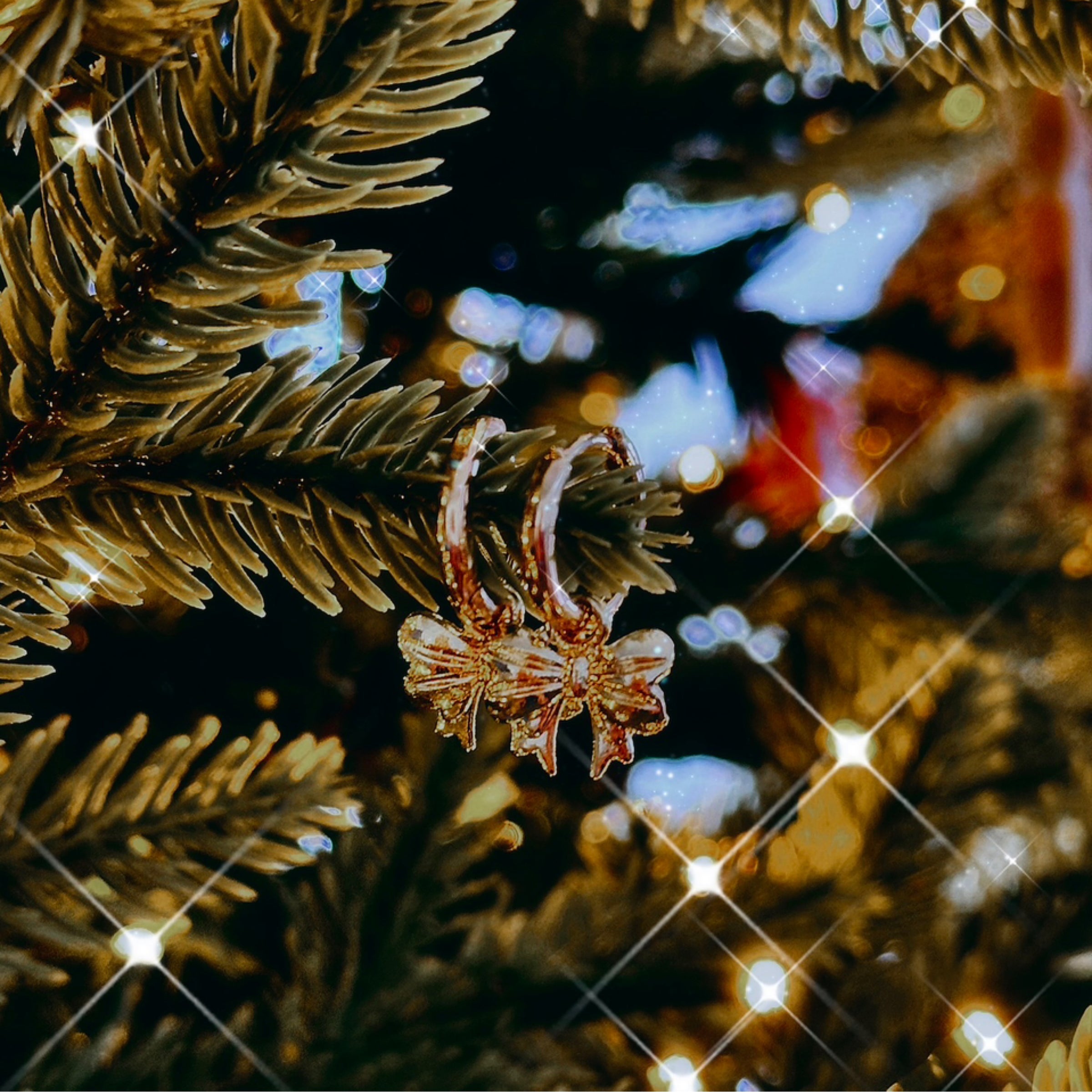Bow Merry Earrings