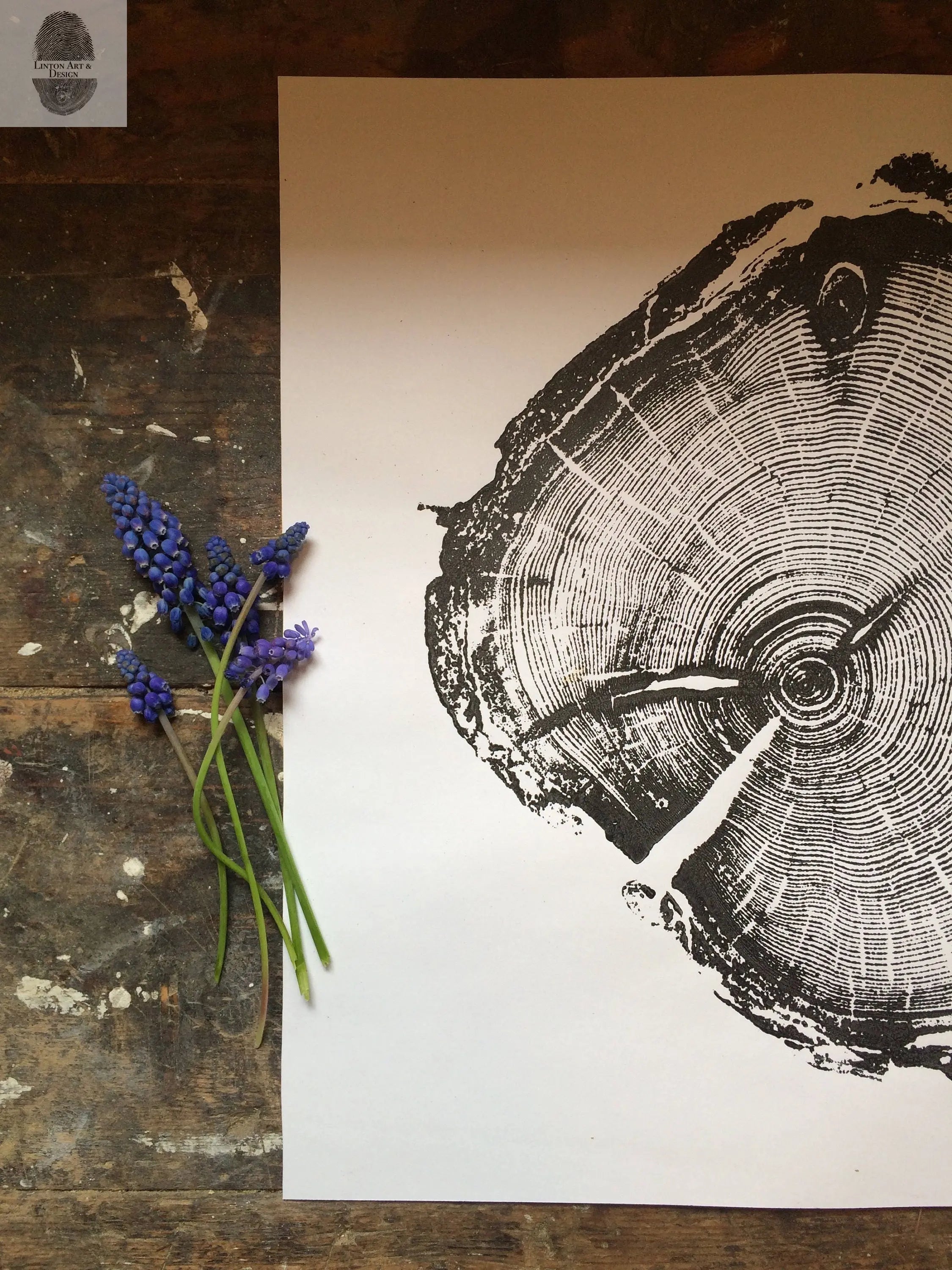 Utah Art, Tree Ring Print, Woodcut print, Woodworker, Ski Art, Snowbird, Wood Slice wall art - 18x24 print