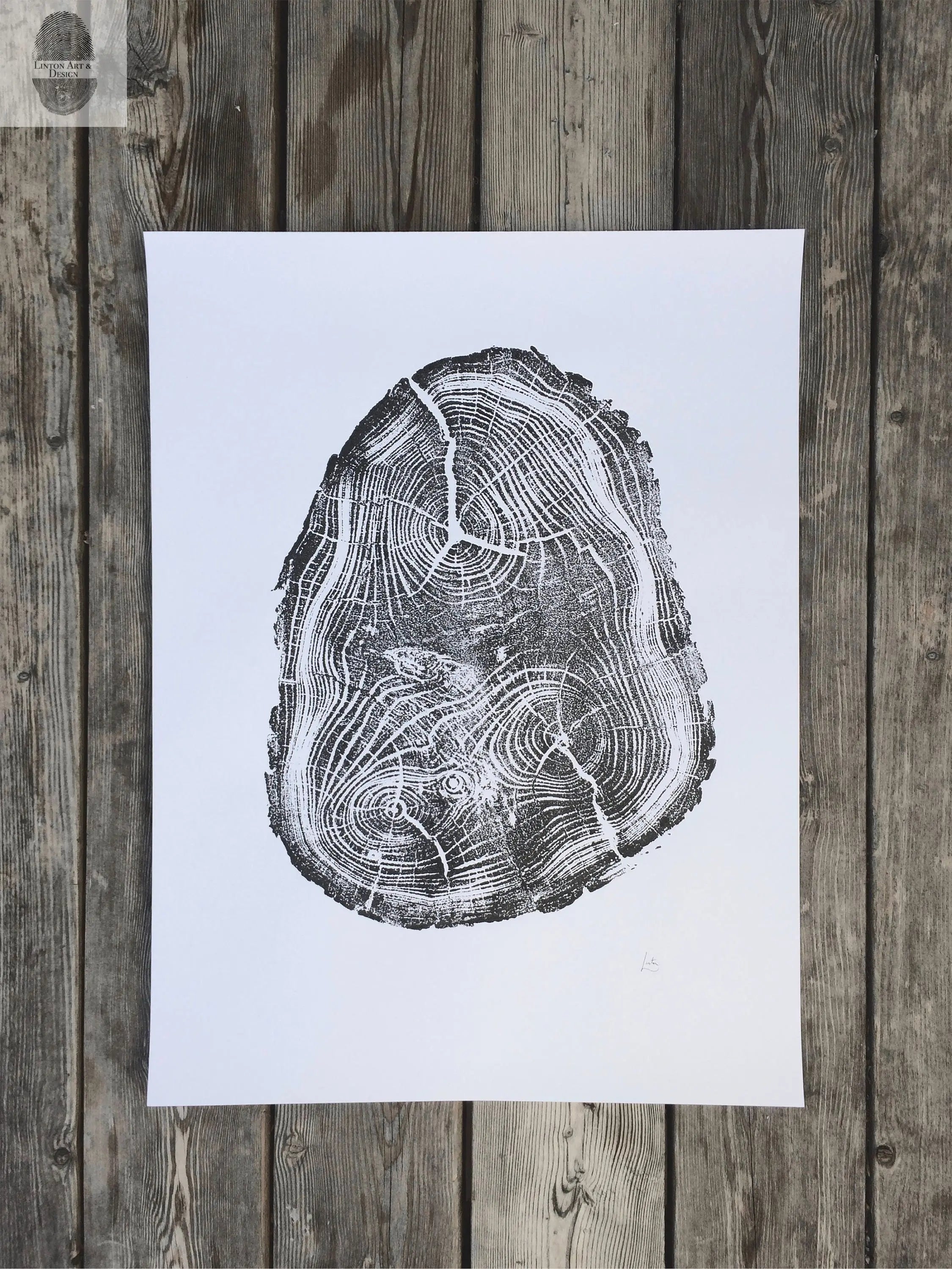 Utah Black Locust I - 18x24 print