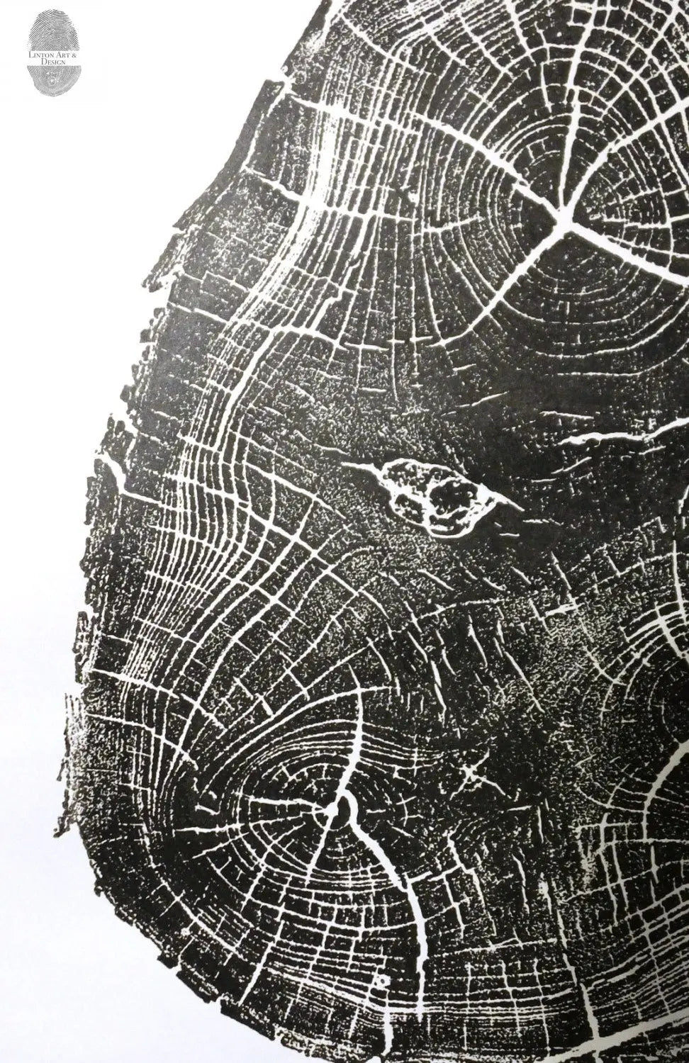 Utah Black Locust I - 18x24 print