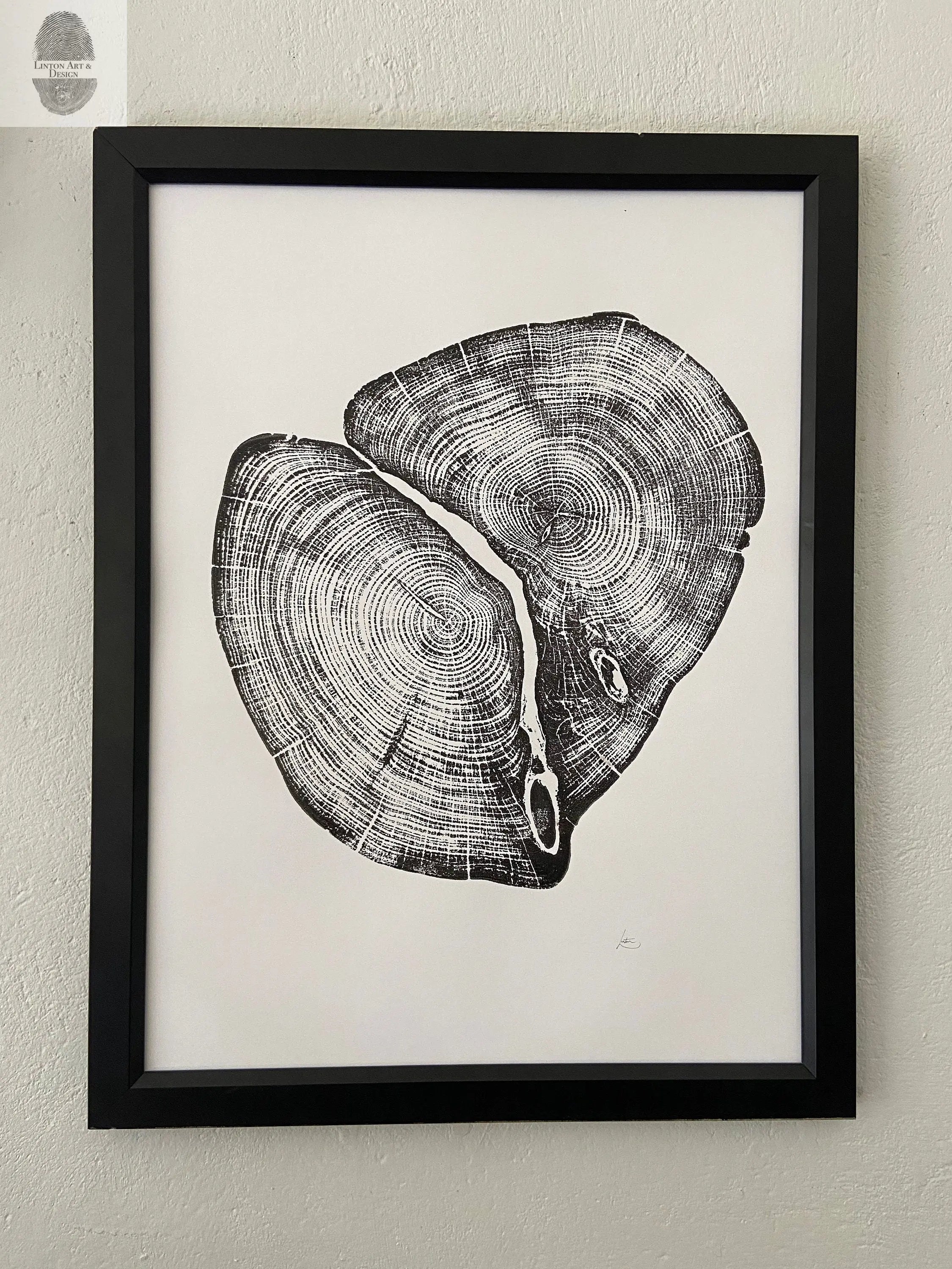 Waco Texas Cedar - 18x24 print