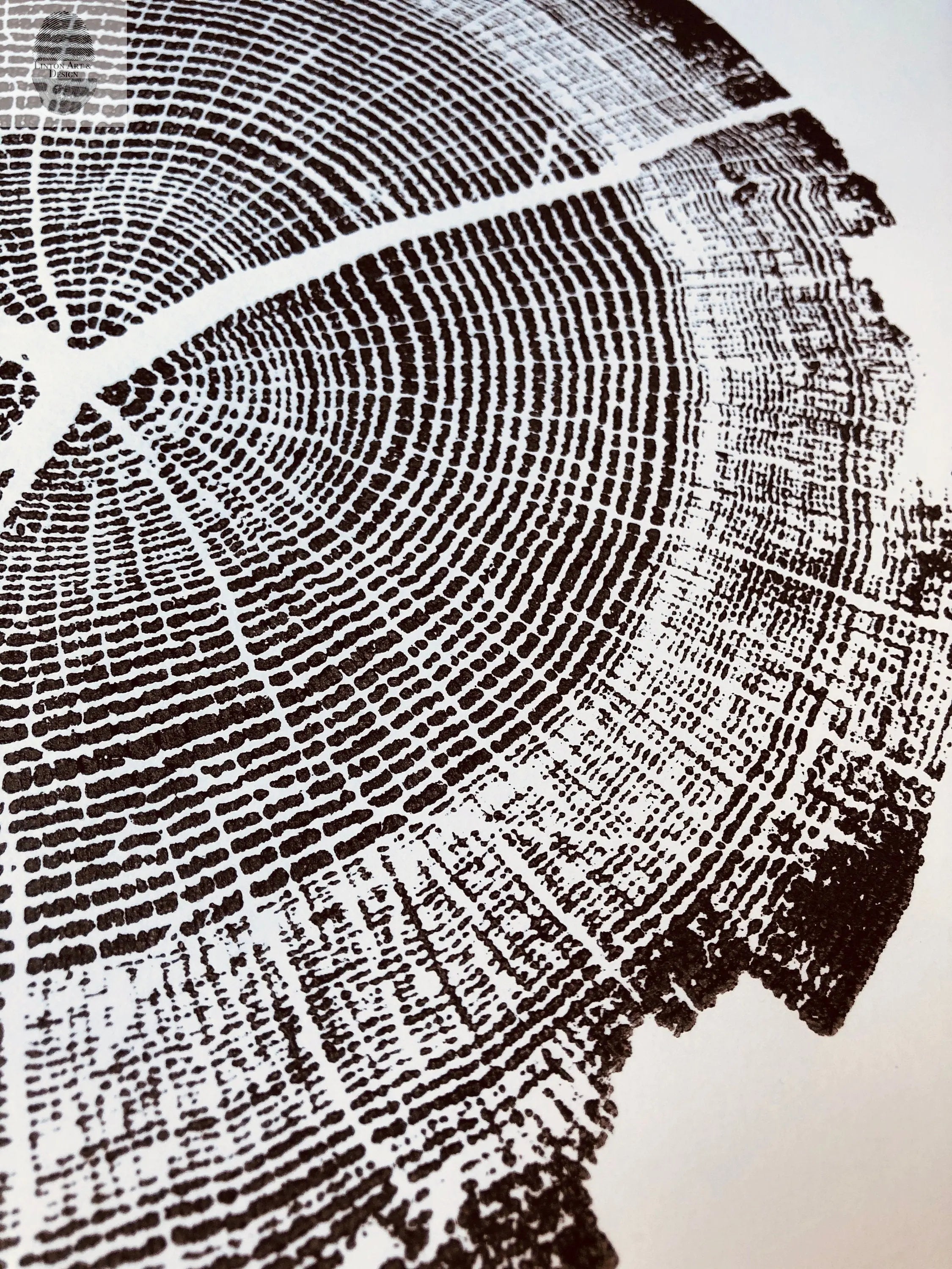 Walden Pond, Massachusetts Oak - 18x24 print