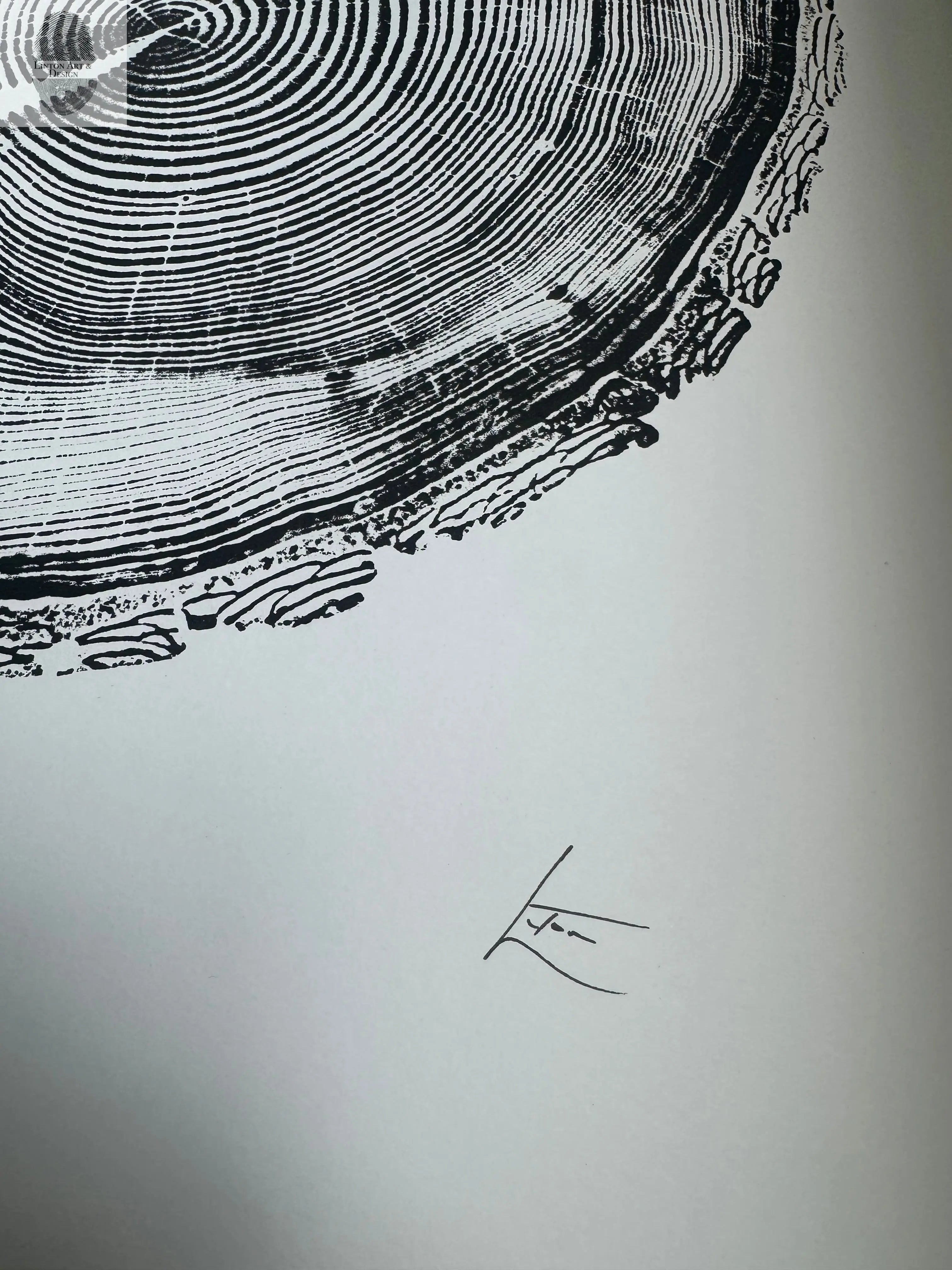 White Pine Tree Ring Impression – Taylor County, WI – 18x24 Signed Artwork